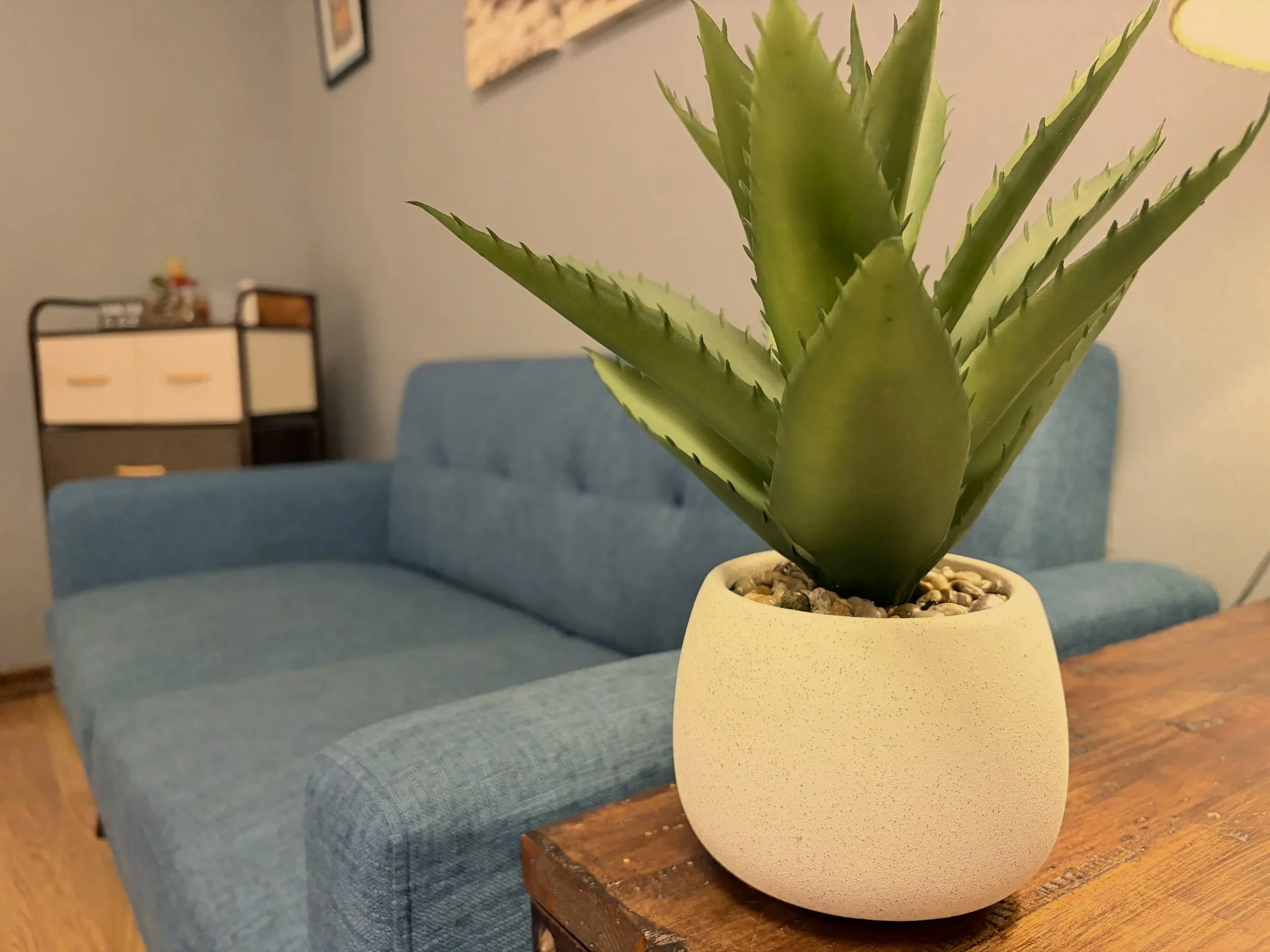 Close-up of a potted aloe vera plant on a wooden table in a room with a blue couch and a multi-colored cabinet in the background.
