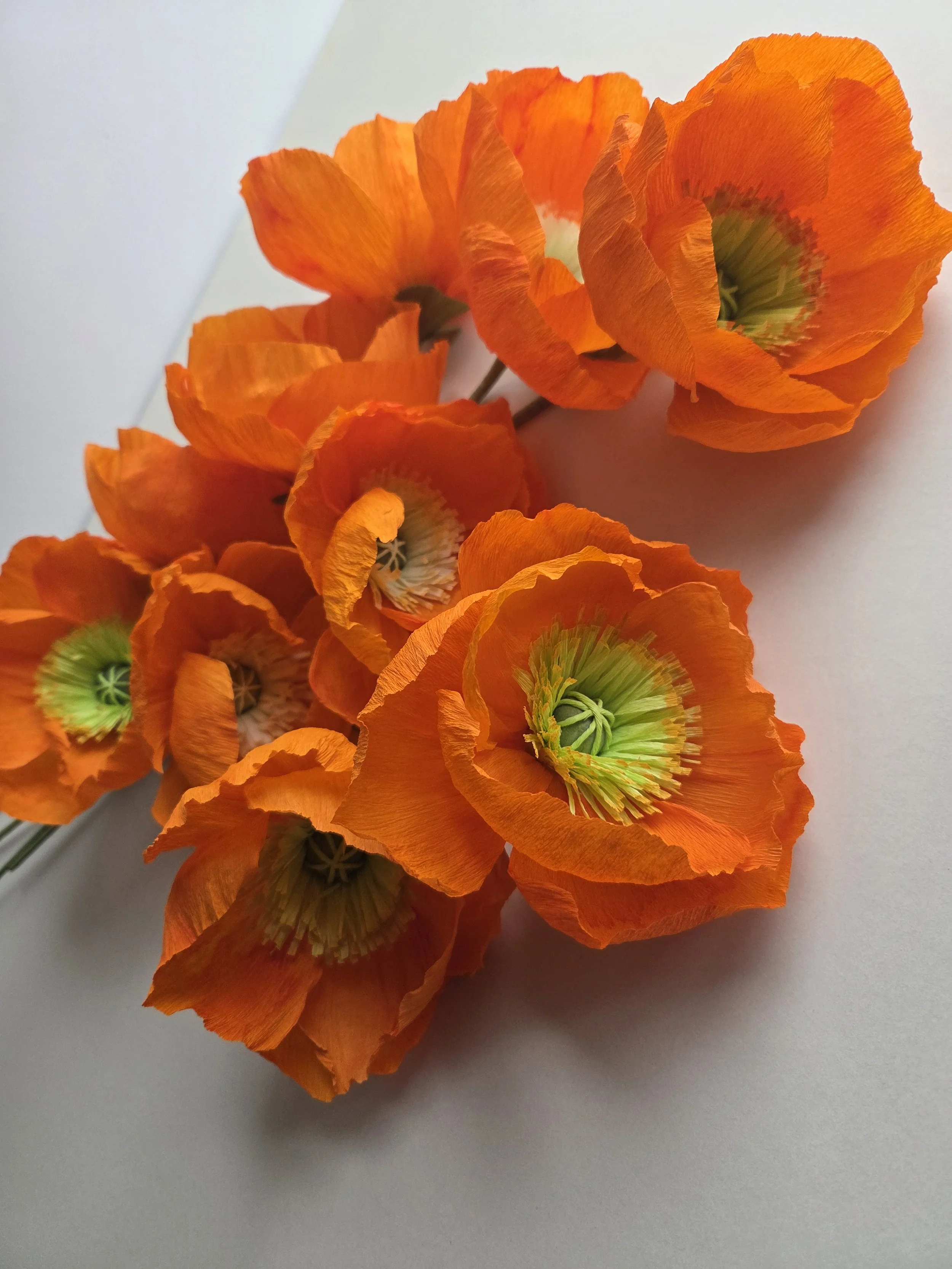 A bunch of bright orange paper poppy flowers with green and yellow centers on a white background.