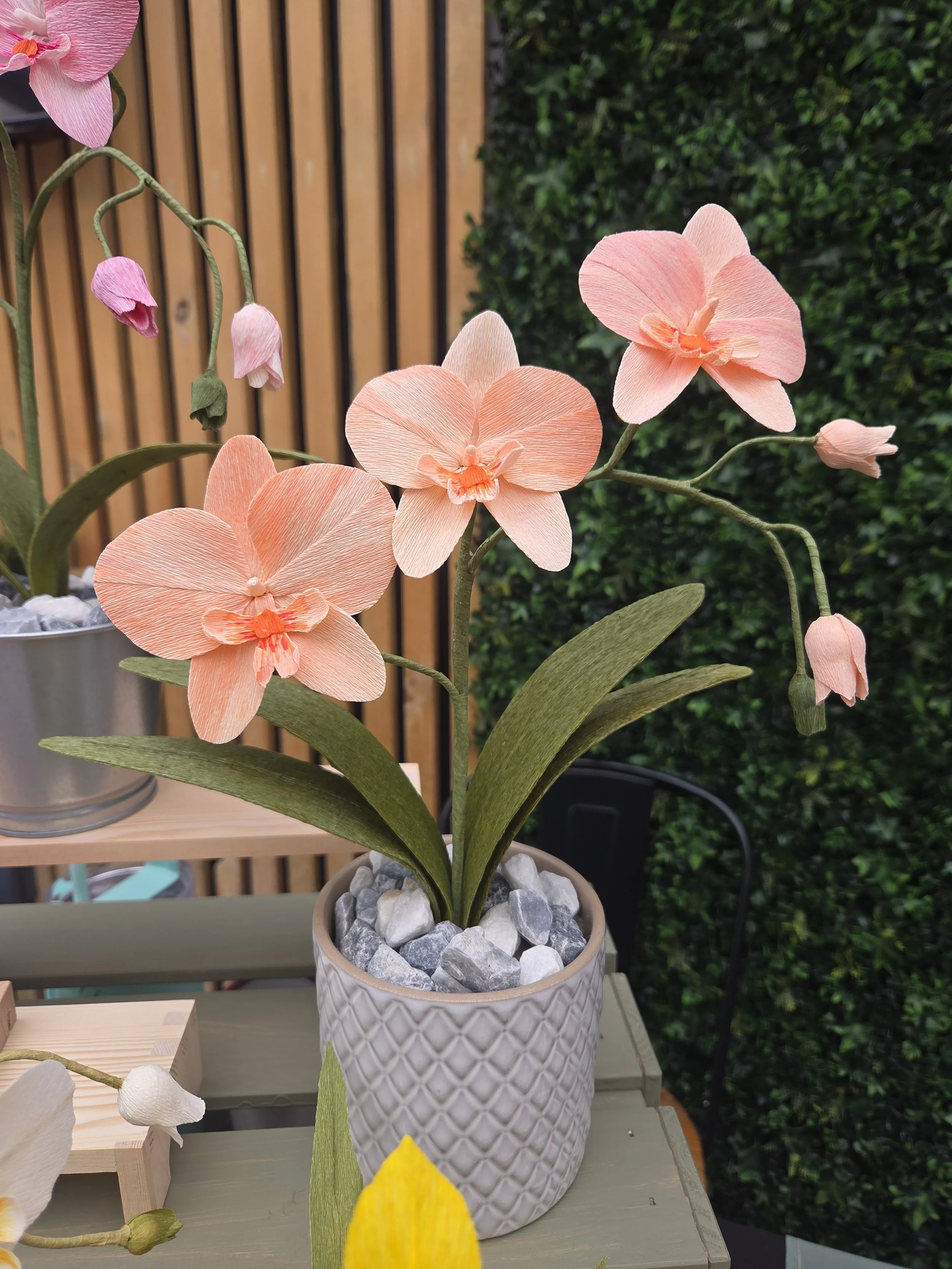 Artificial peach-colored orchids in a white decorative pot with rocks, set on a table outside with green hedge and wooden slat fence in the background.