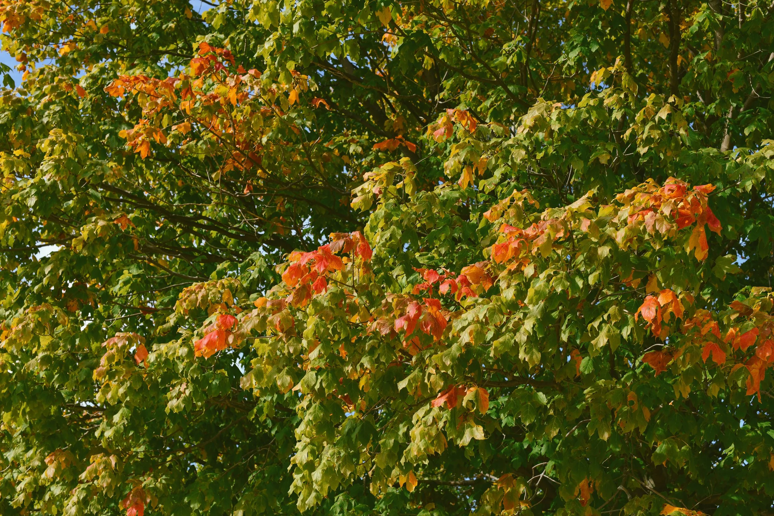 USTrip25_011.jpg