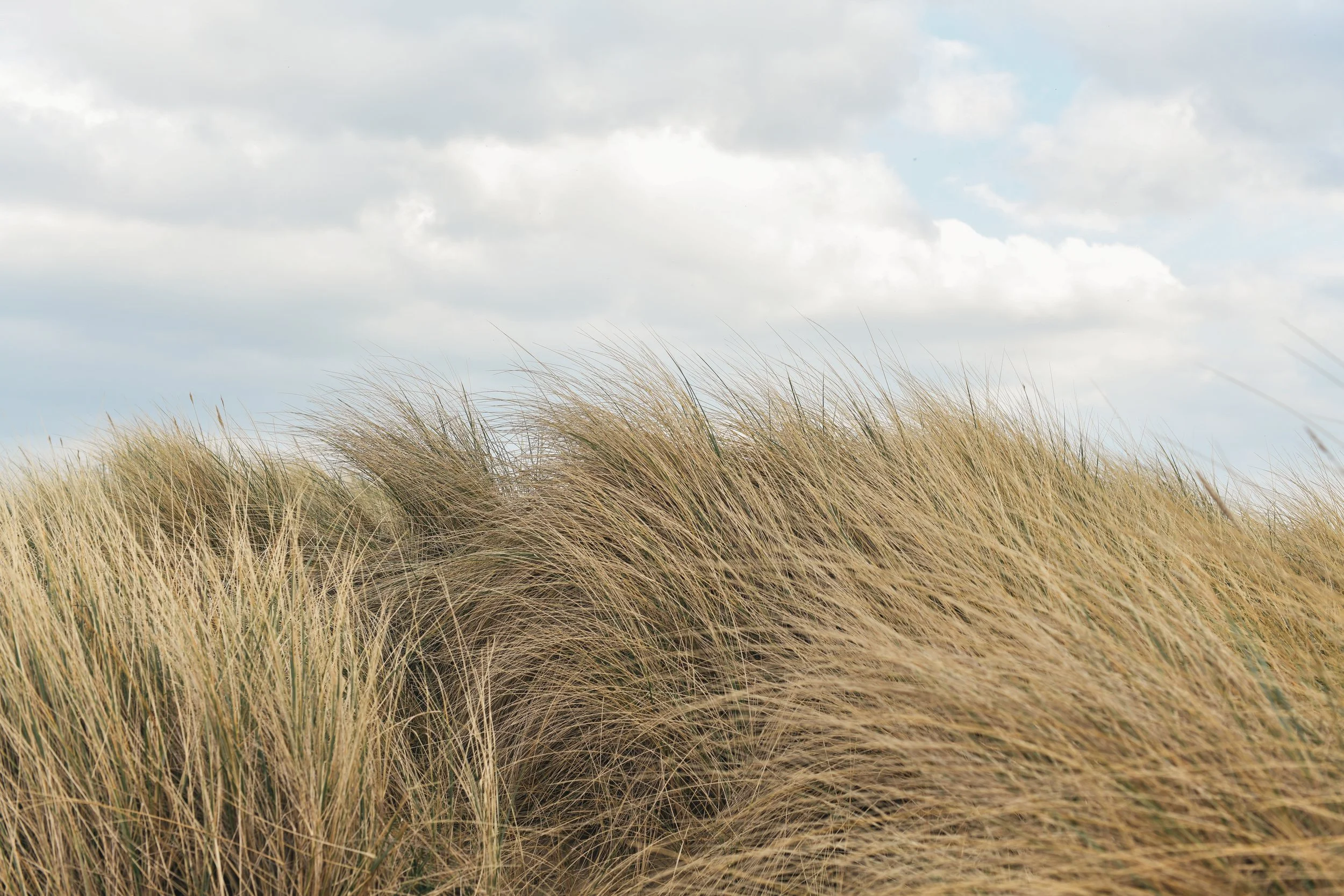 The Edge of Dunes