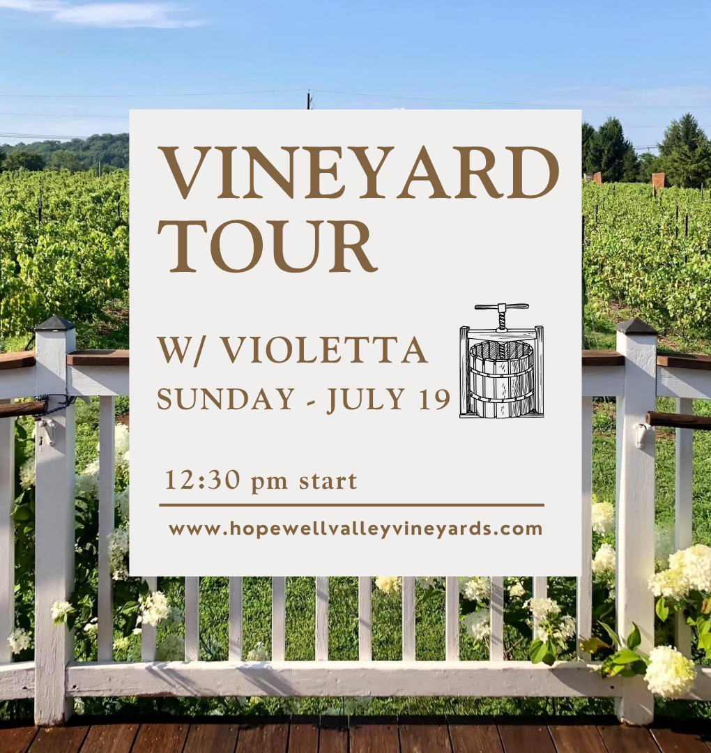 VINEYARD TOUR