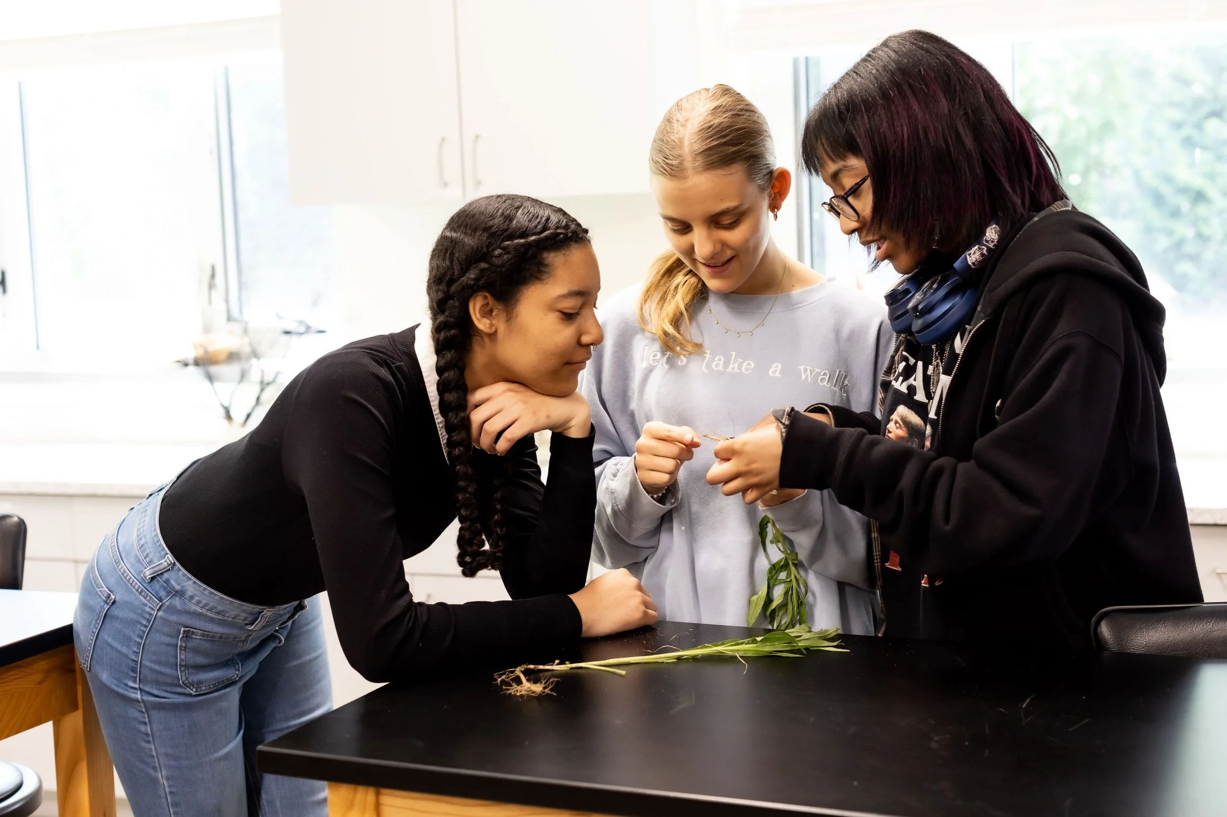 Beyond Compliance: How School Culture Shapes Safety