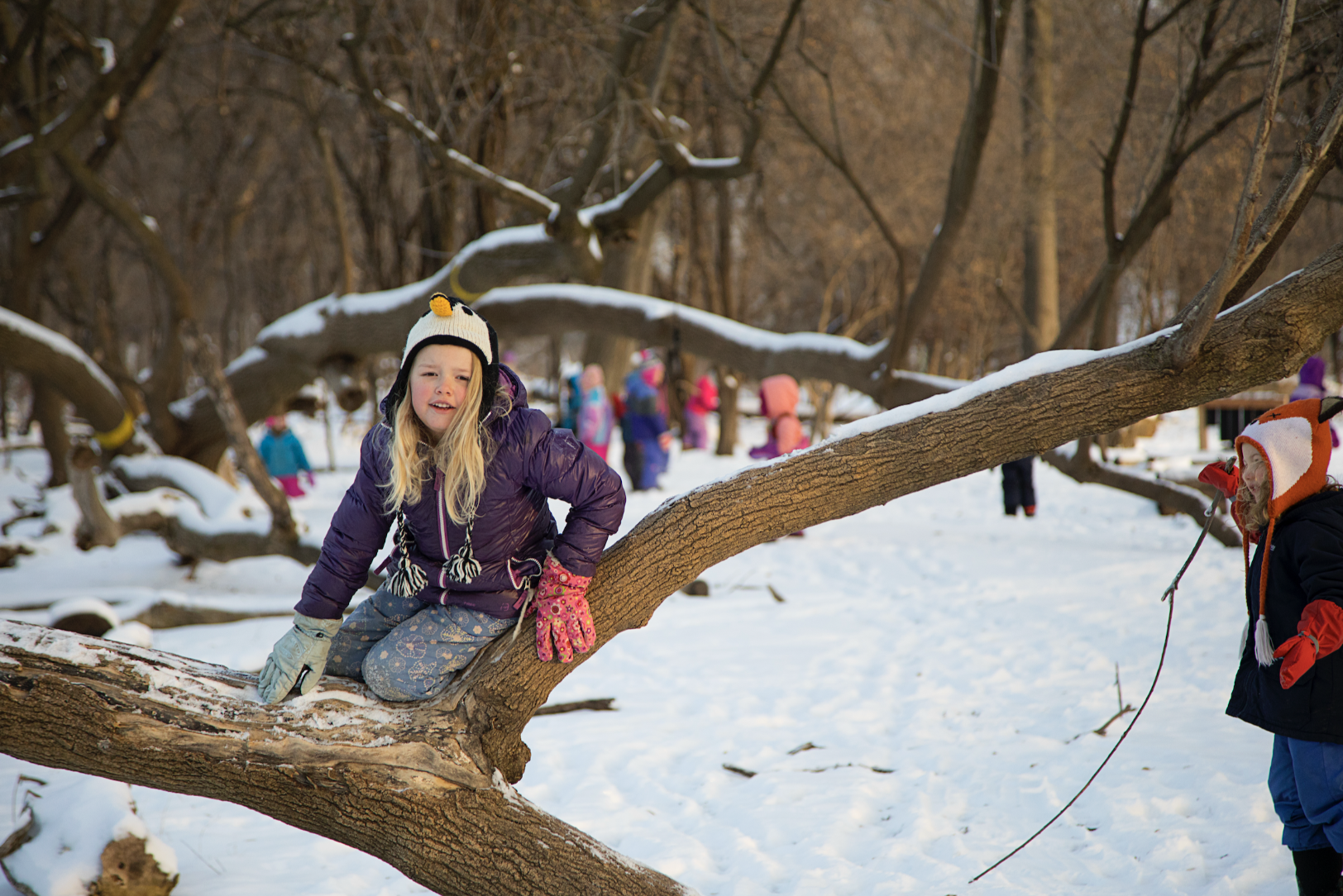 A girl in a penguin hat an warm winter clothing sits on a tree branch at the kindergarten recess at Rudolf Steiner School of Ann Arbor. There are a bunch of other kids in warm winter gear in the background.