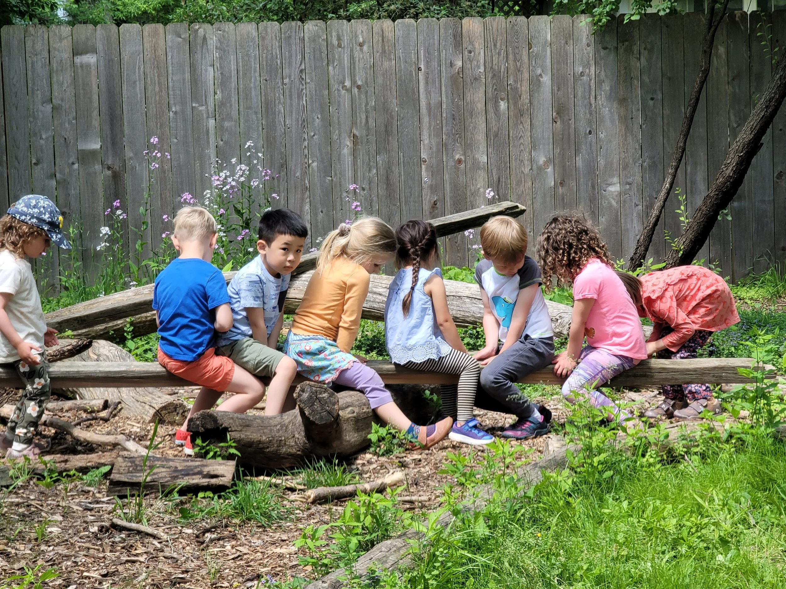 A group of kindergarteners at Rudolf Steiner School of Ann Arbor are sitting on logs outside on the playground, laughing and smiling.