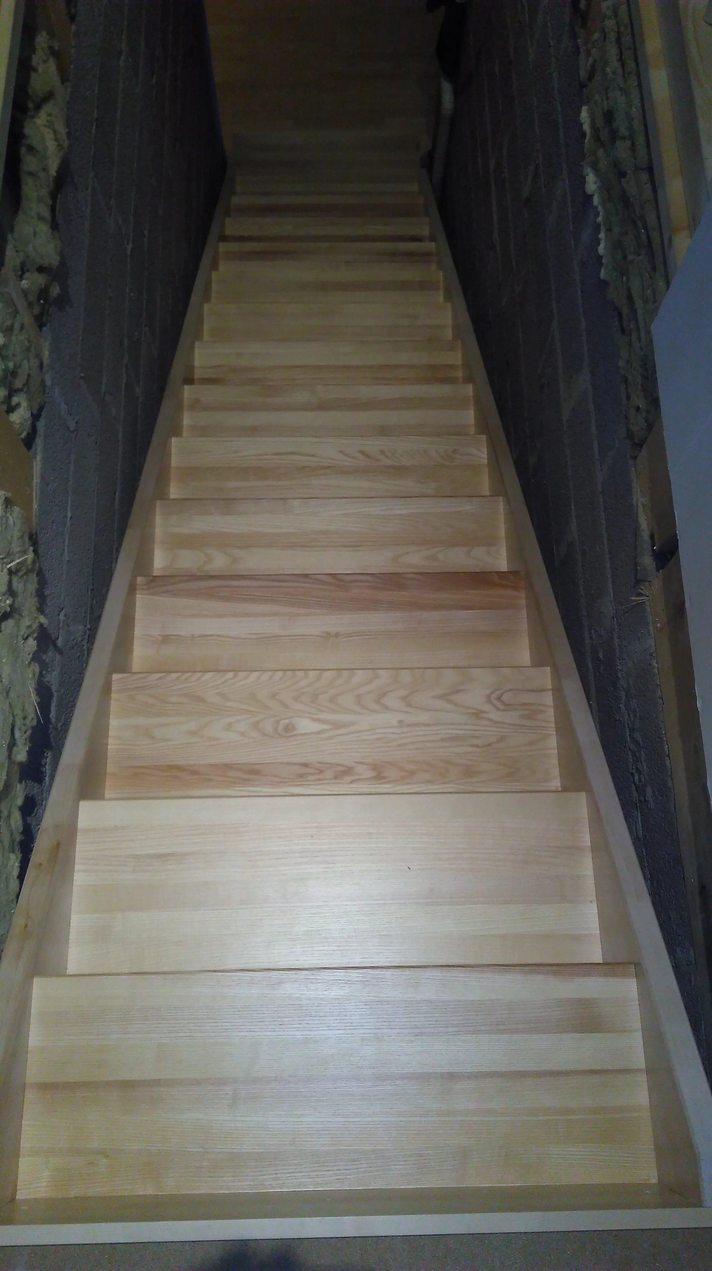 IMAG0264.jpg