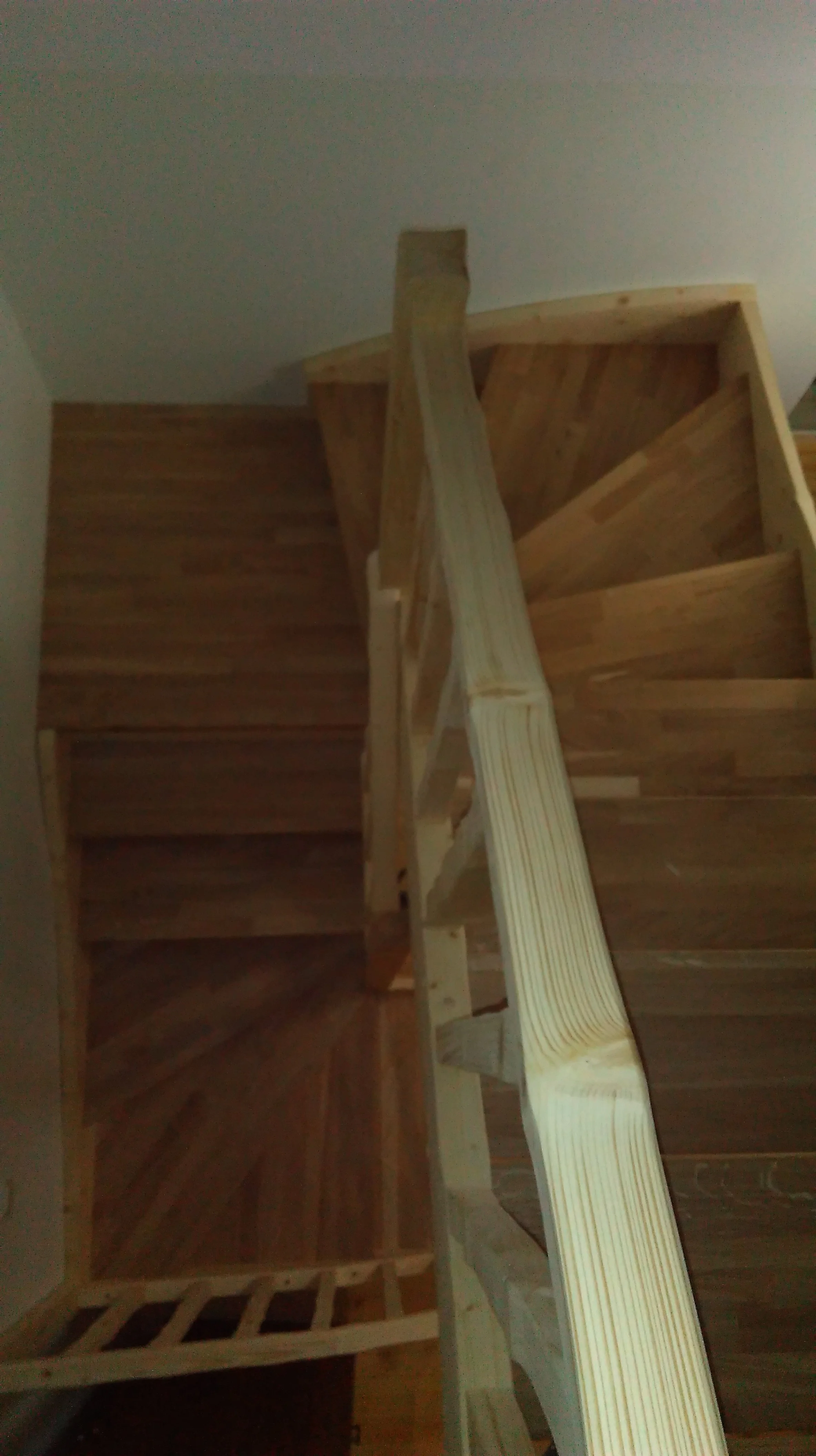 IMAG0259.jpg