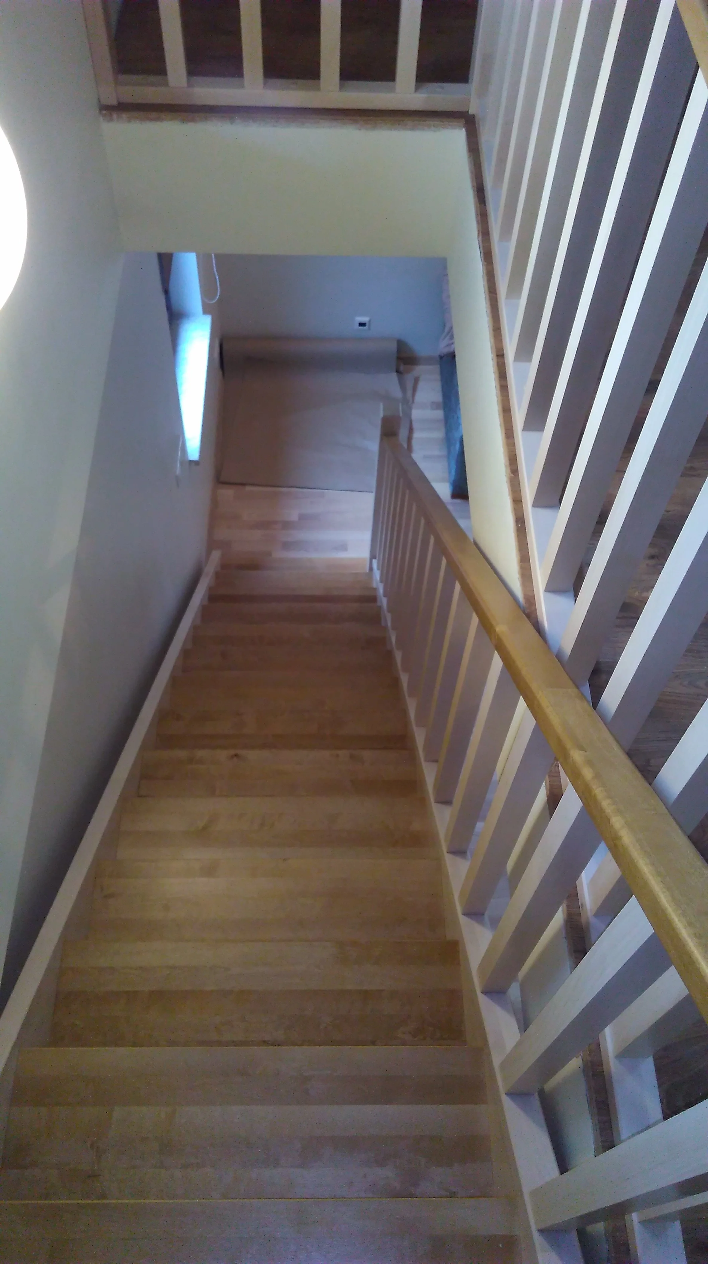 IMAG0204.jpg