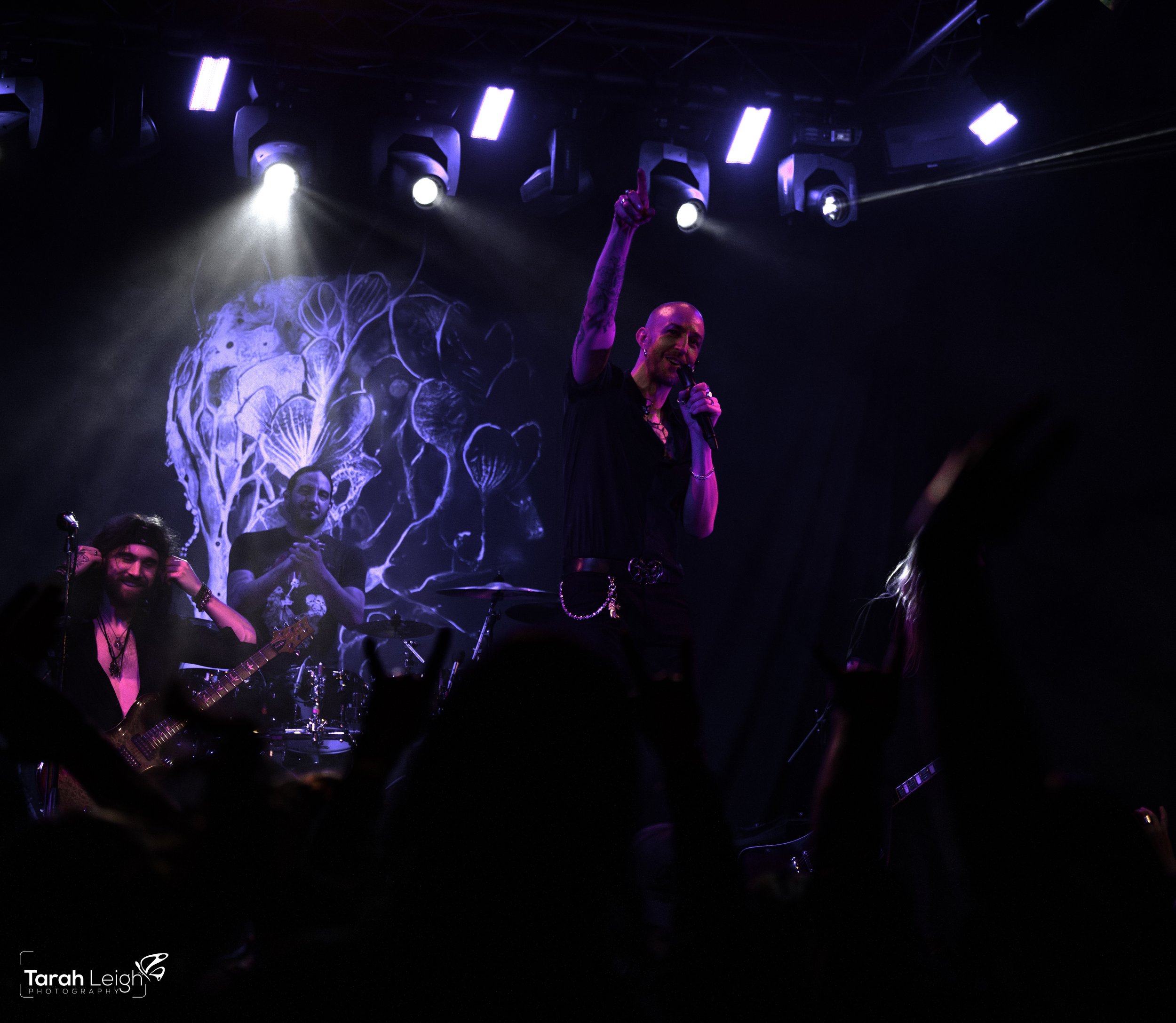_8508190-1.jpeg