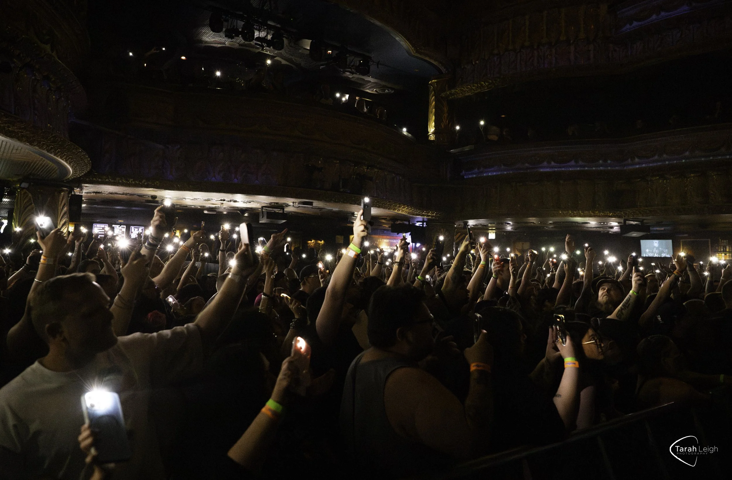 DSC_6556-1.jpeg
