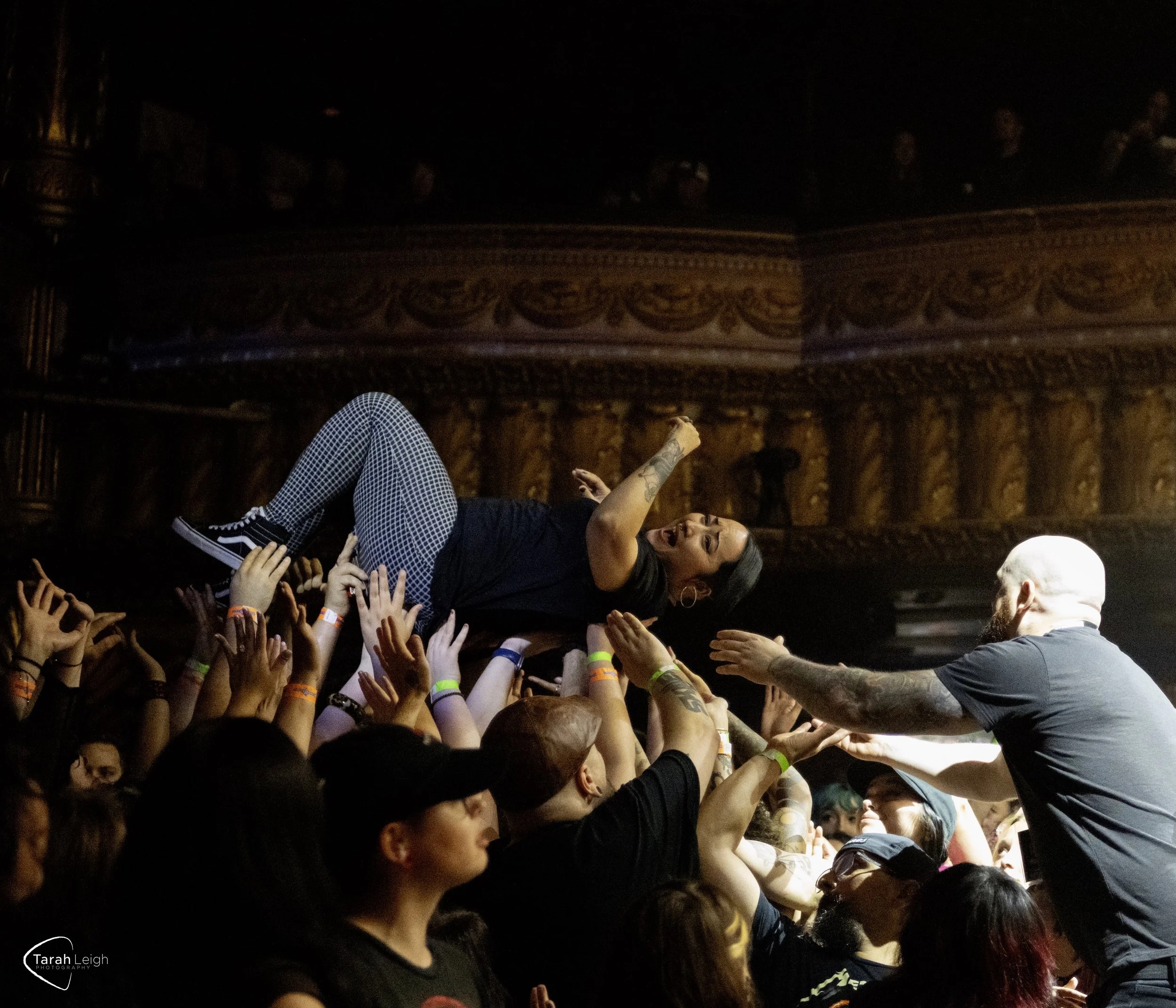 DSC_6869-1.jpeg