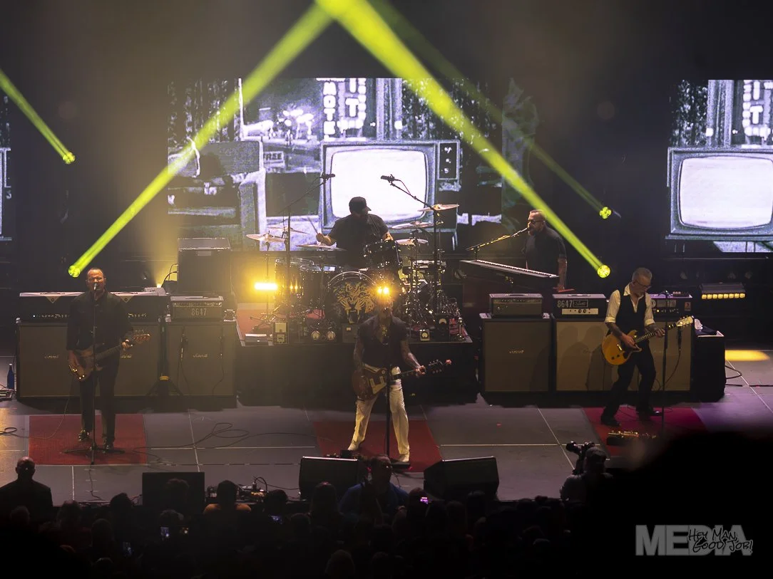 Social DIstortion-04.jpg