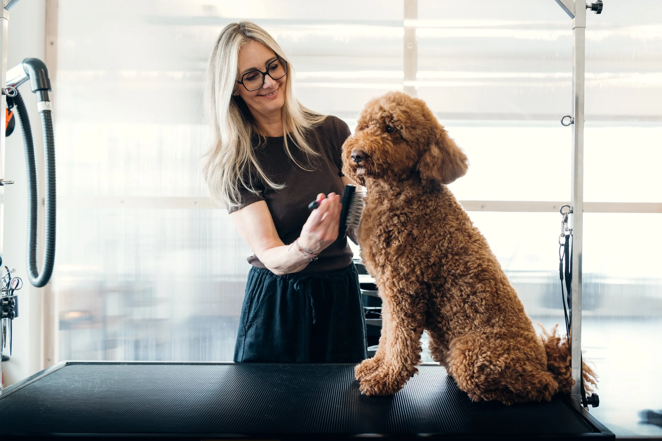 Eine Frau mit Brille beim Haareschneiden bei einem Hund auf einem Friseurtisch in einem Friseursalon.