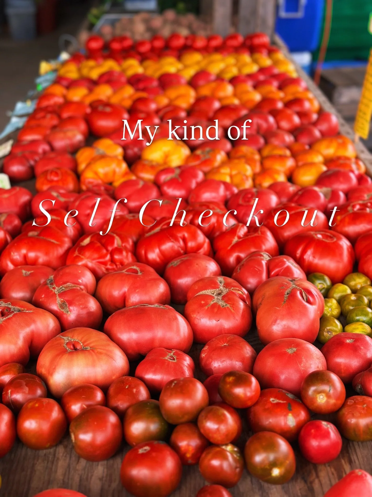 It&rsquo;s not you Whole Foods, it&rsquo;s the $9 kale. 

We traded the long self check out lines for tomatoes that still smell like tomatoes. 🍅

Thank you Waterpenny Farm! @waterpennyfarm 

#foothillsproductions #waterpennyfarm #rappahannockcountyv