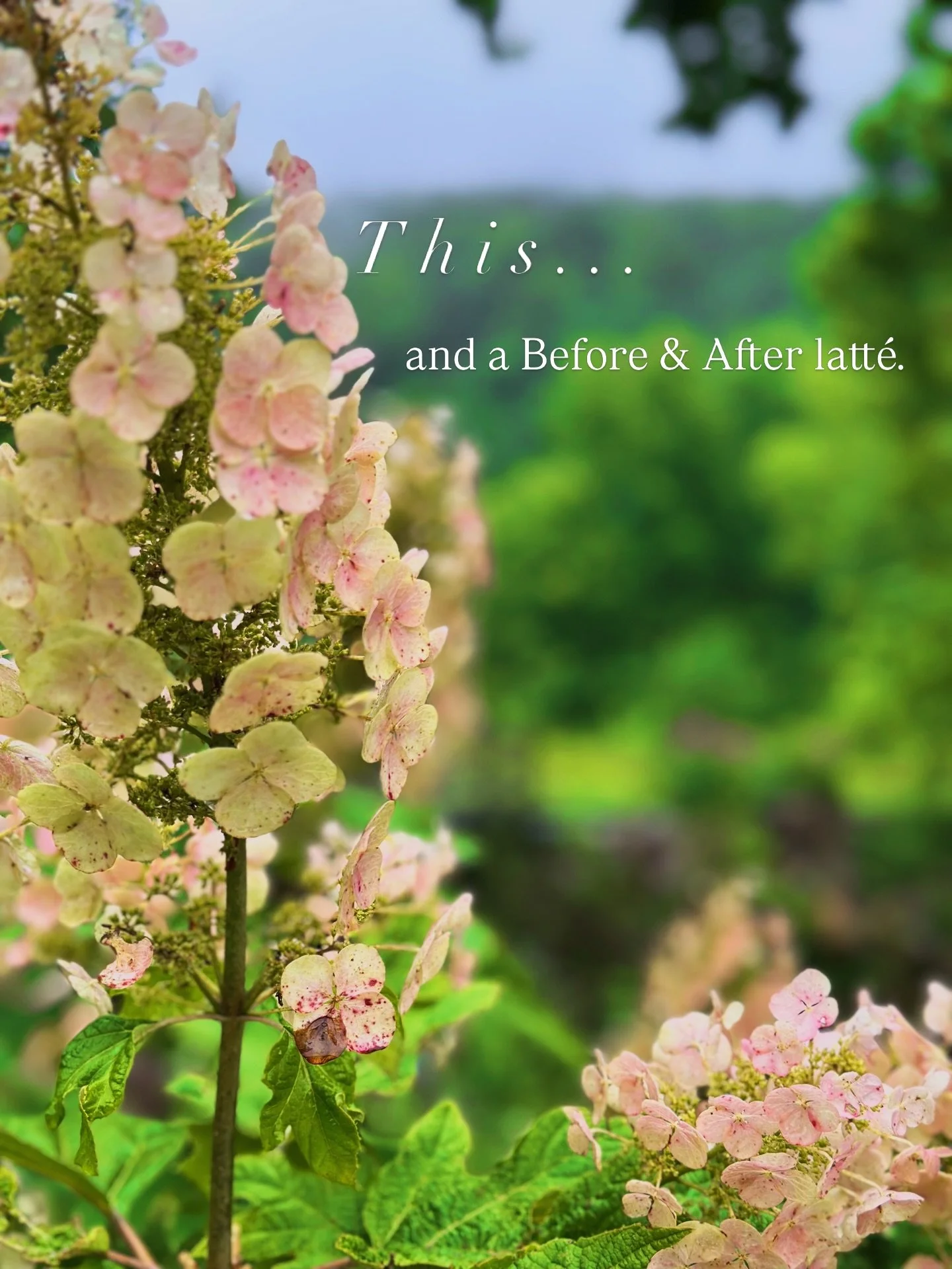 This&hellip;and some of our Rappahannock favs. 

Before &amp; After @beforeandaftersperryville 
Quievr&eacute;mont Winery @quievremontwine 
Wild Roots Apothecary @wildroots_apothecary 
Patty O&rsquo;s Caf&eacute; @pattyoscafe 
Pen Druid Brewing @pend