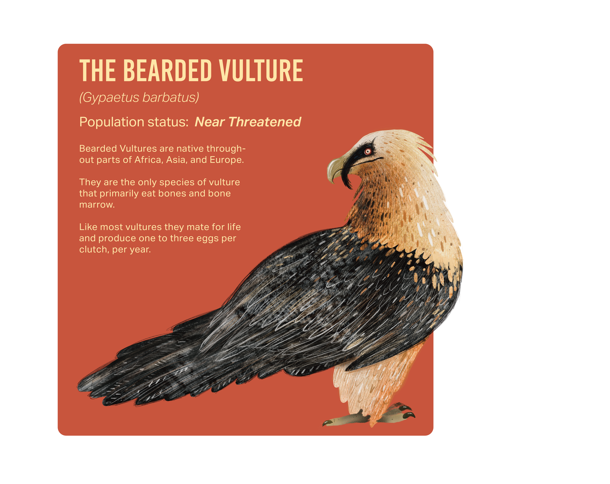 FACTSANDMYTHS 1-02.png