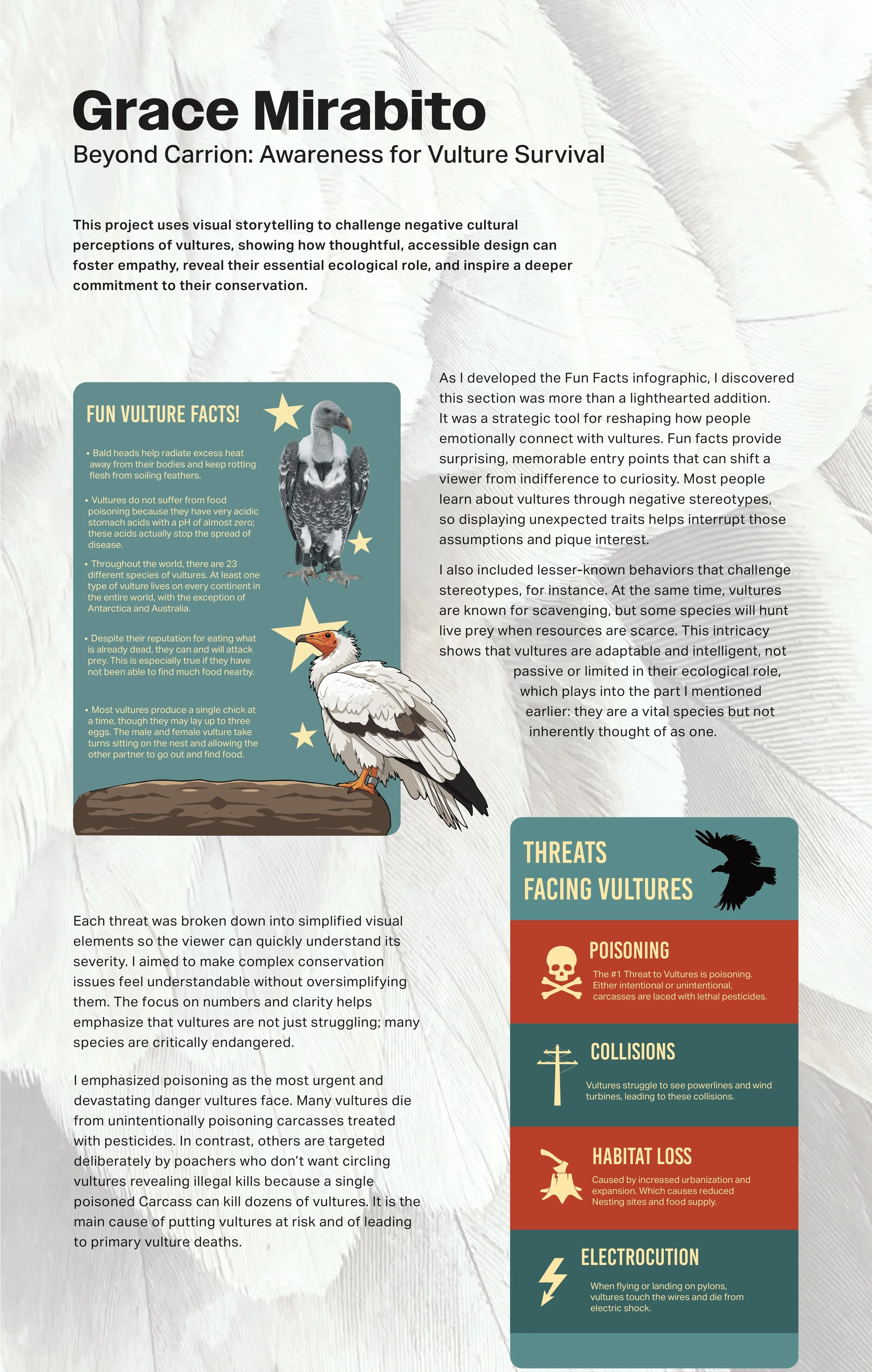 Vulture Capstone for linkedin.jpeg