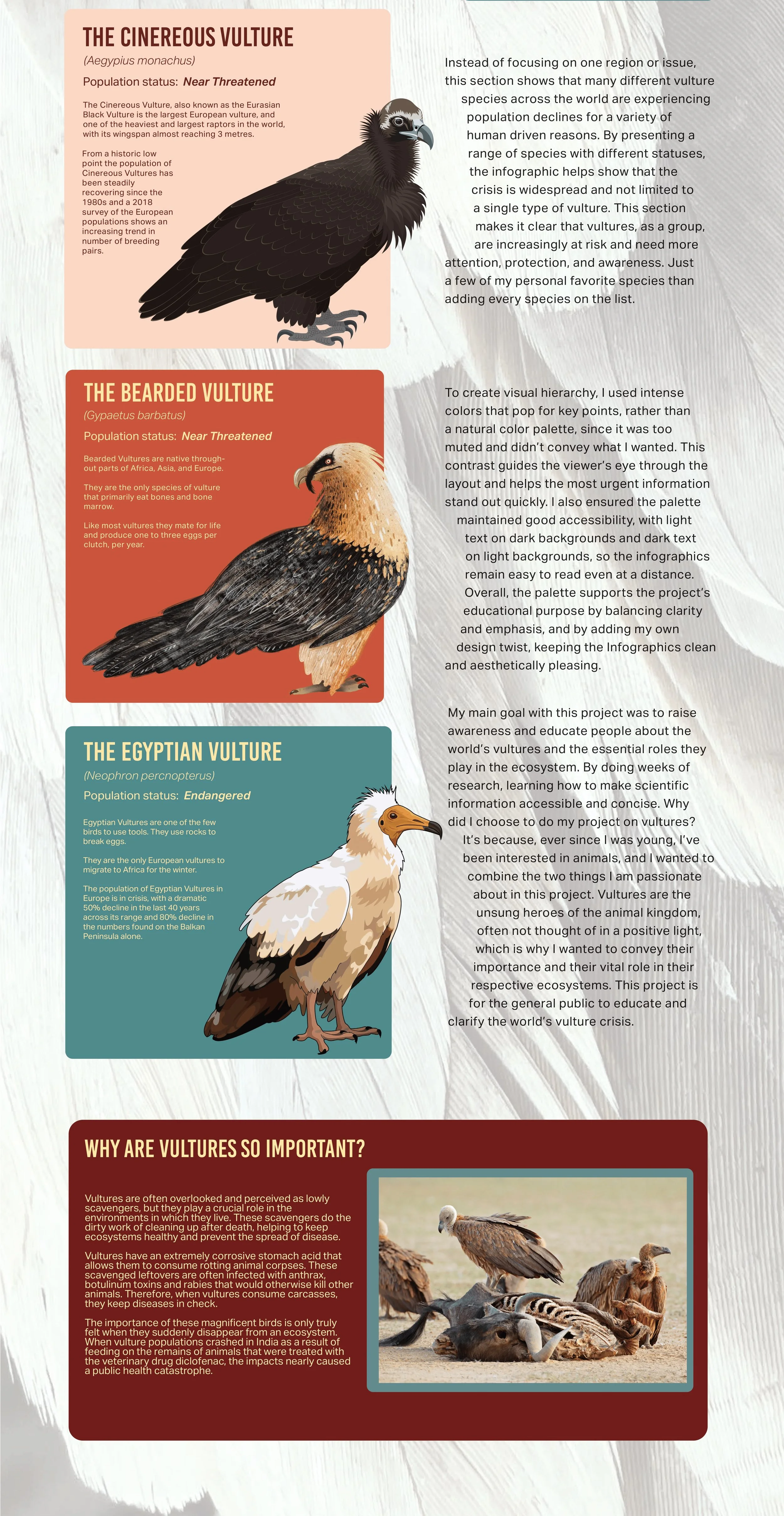 Vulture Capstone for linkedin.jpeg