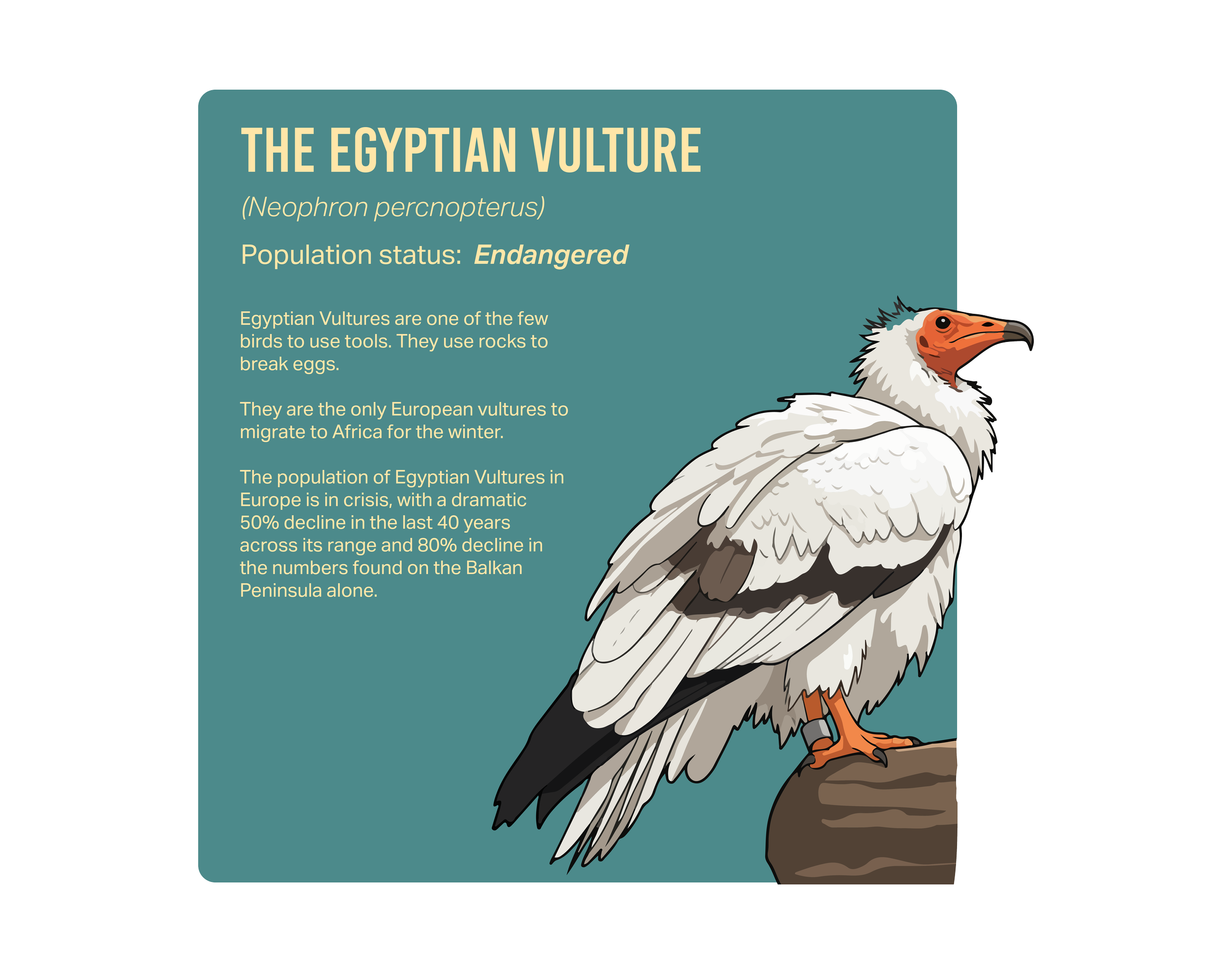 FACTSANDMYTHS (1).png