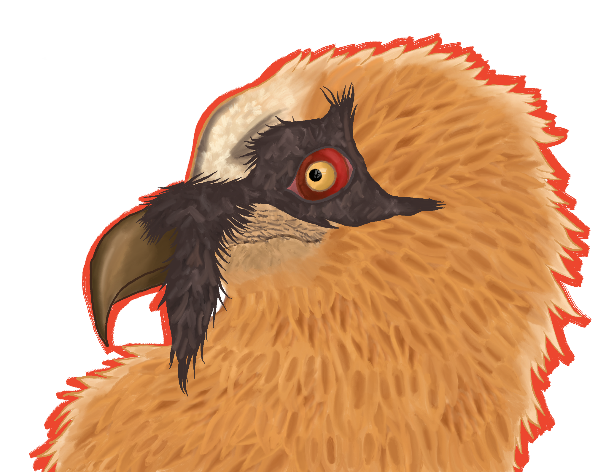 Untitled_Artwork 7.png