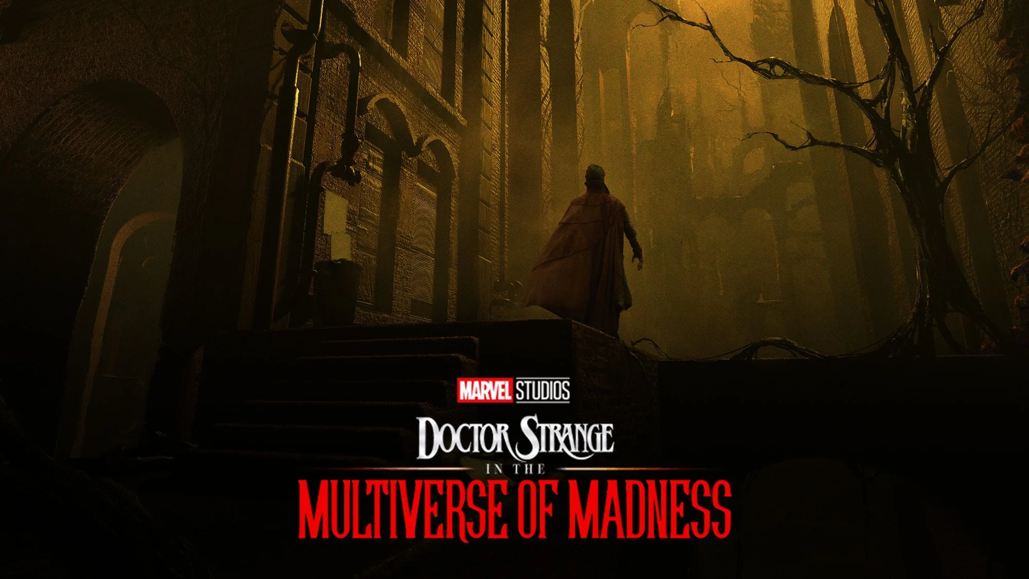 octor Strange in the Multiverse of Madness / 2019