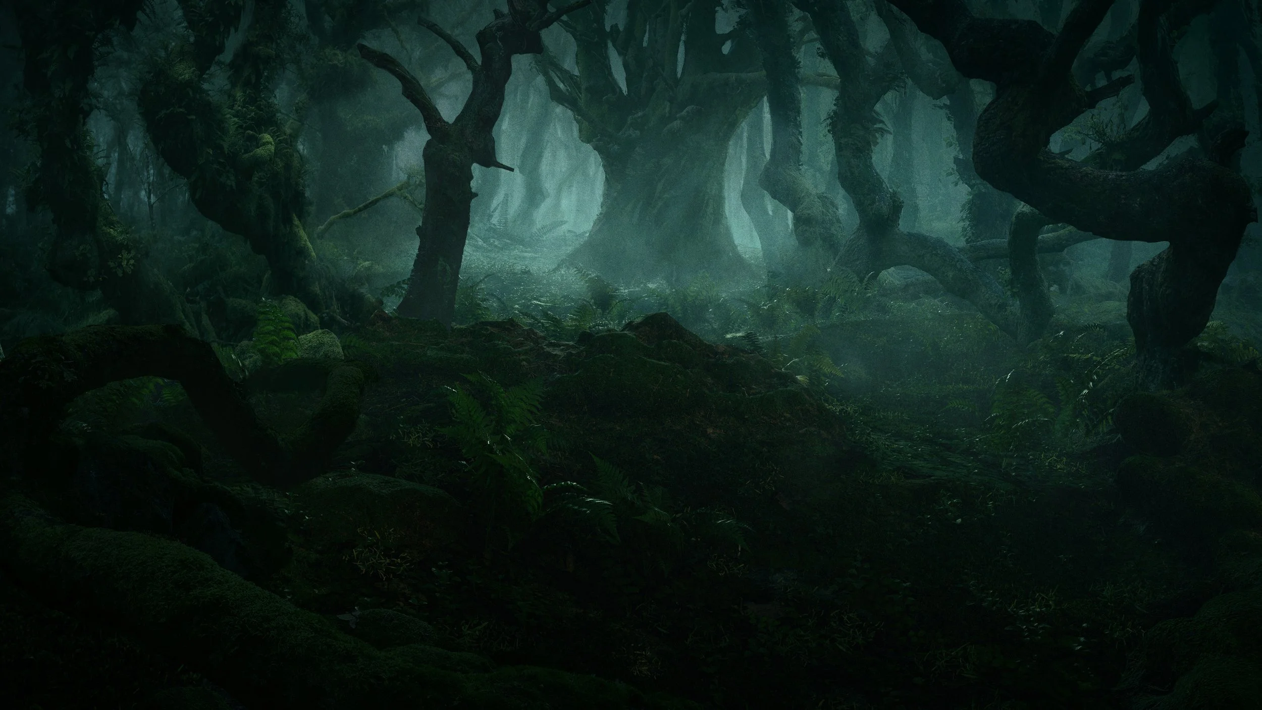 forest2.jpg