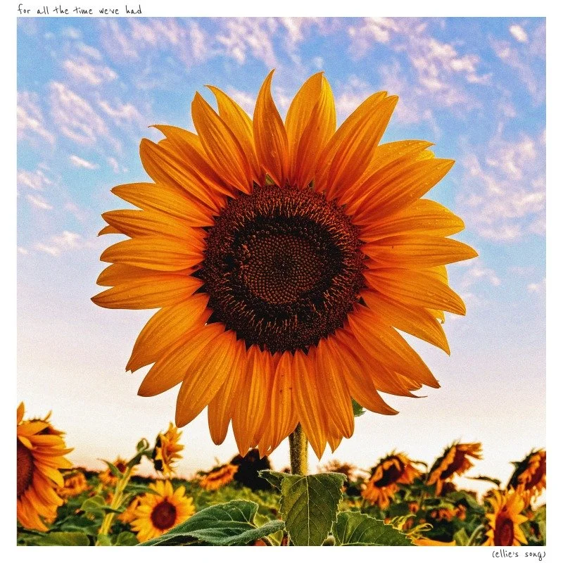 A vibrant sunflower in a sunflower field against a blue sky with scattered clouds. A white border surrounds the image, like an old Polaroid, with handwritten text that reads "For All the Time We've Had (Ellie's Song)".