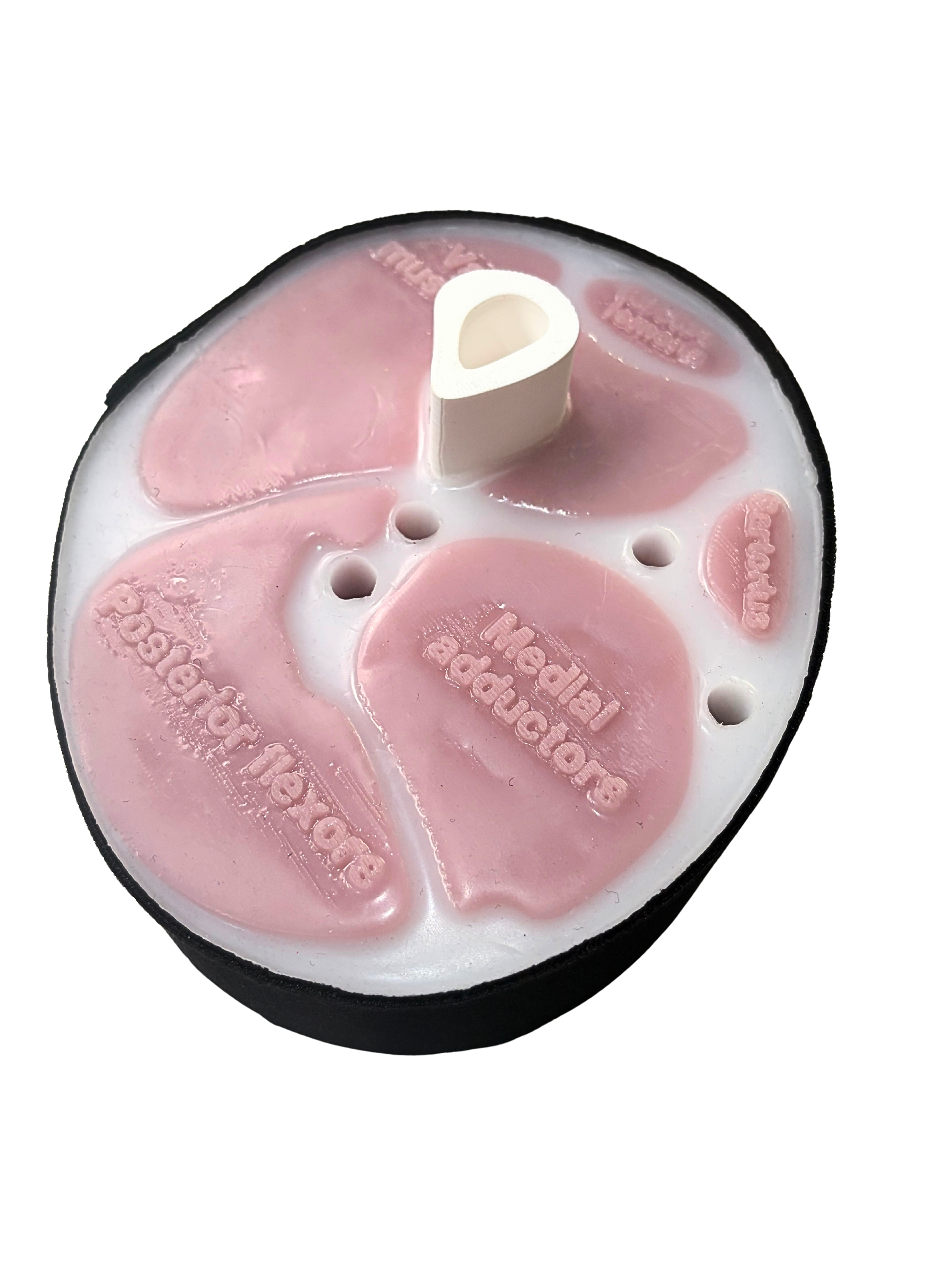 Slishman Tourniquet Trainer