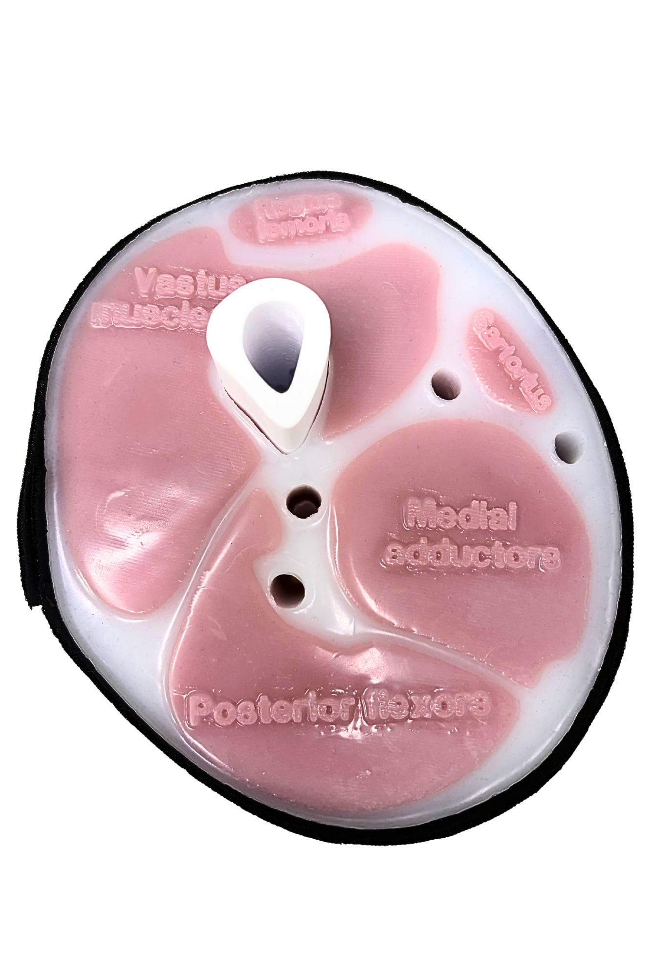 Slishman Tourniquet Trainer
