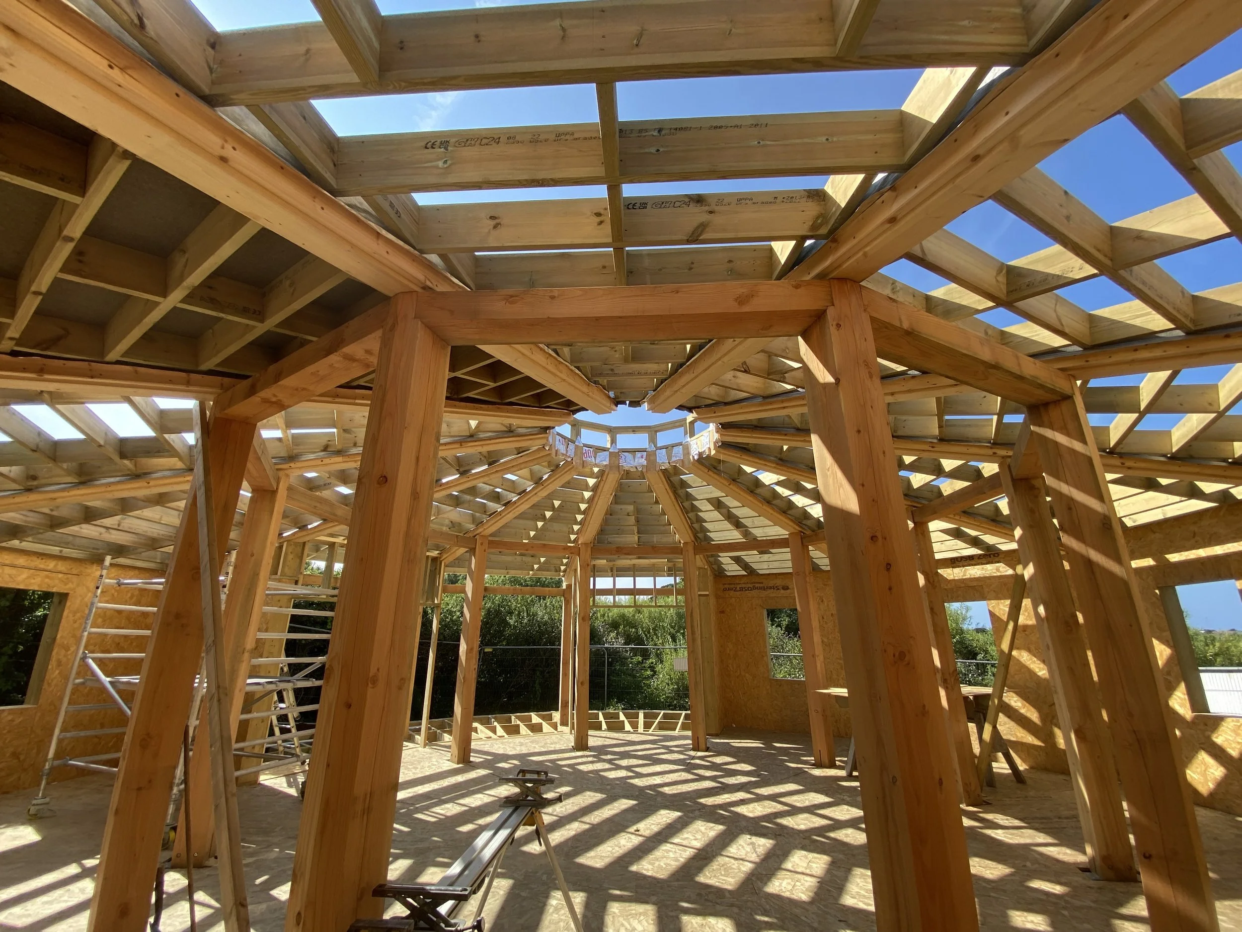 St Ives Community Orchard -The core