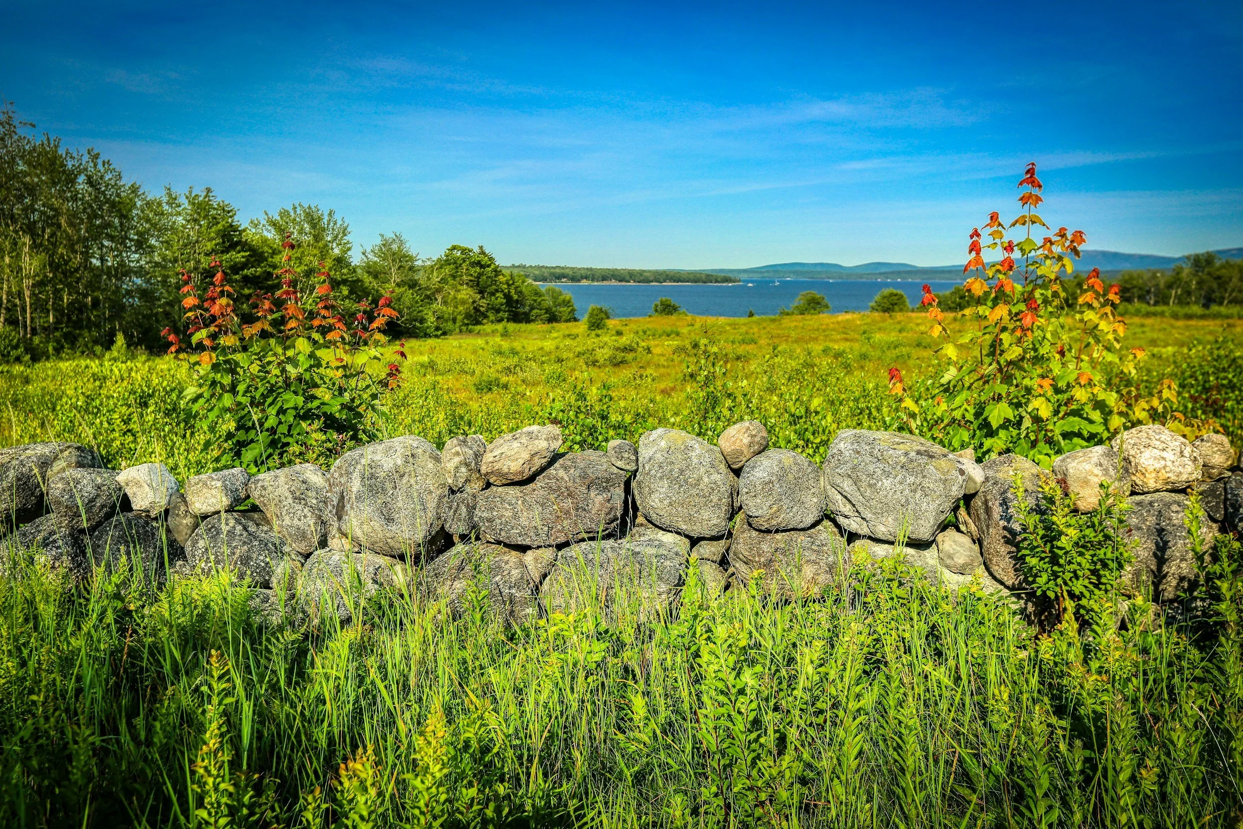 Scenic landscape of green field with stone wall, bushes, trees, and a lake in the distance under a blue sky.