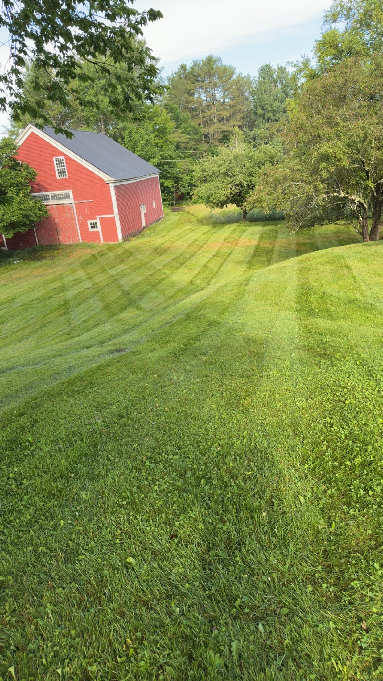 A lush green yard with mowed grass and gentle slopes, featuring a red barn with a gray metal roof on a bright, sunny day with clear skies and surrounding trees.