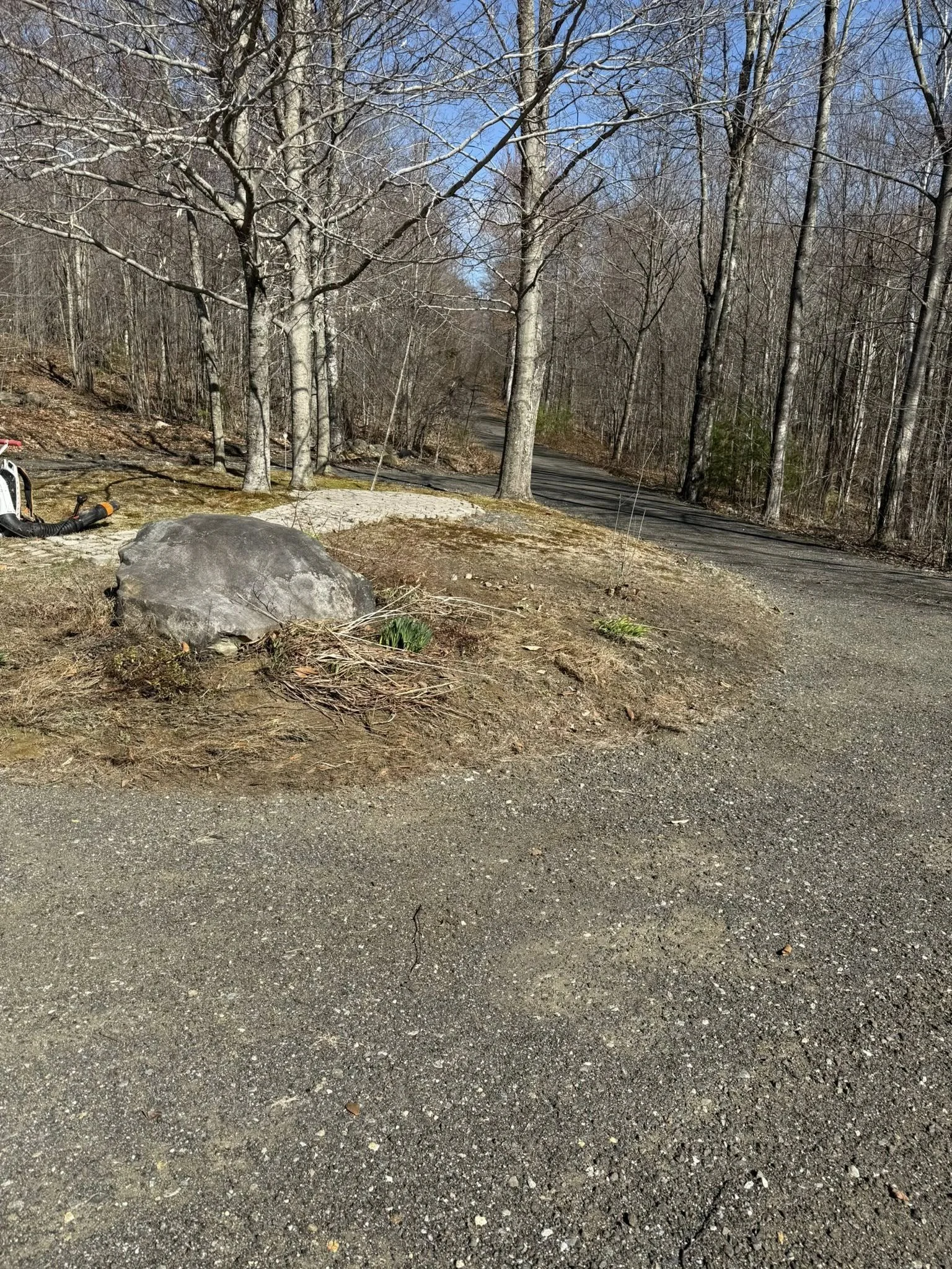 A dirt walking trail in a leafless forest during late winter or early spring, with a large rock and some small plants near the trail's edge.