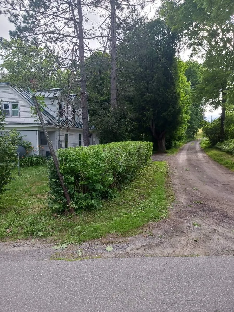 A dirt road next to a green hedge, with a white house with a steep metal roof and windows, surrounded by trees and greenery.