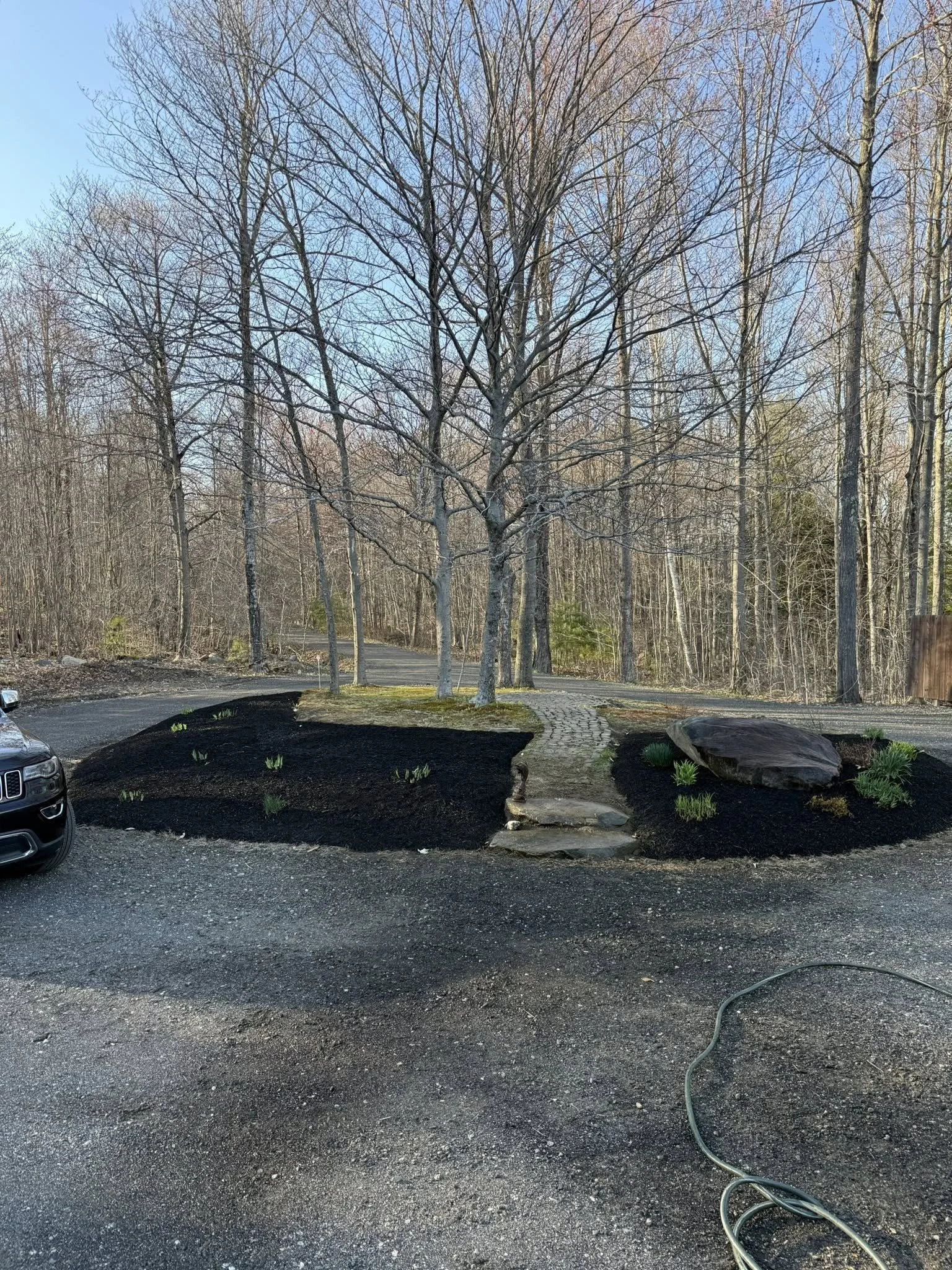 Landscape view of a landscaped yard with trees, small plants, and a stone pathway, with parked car on a gravel driveway and a wooded area in the background.