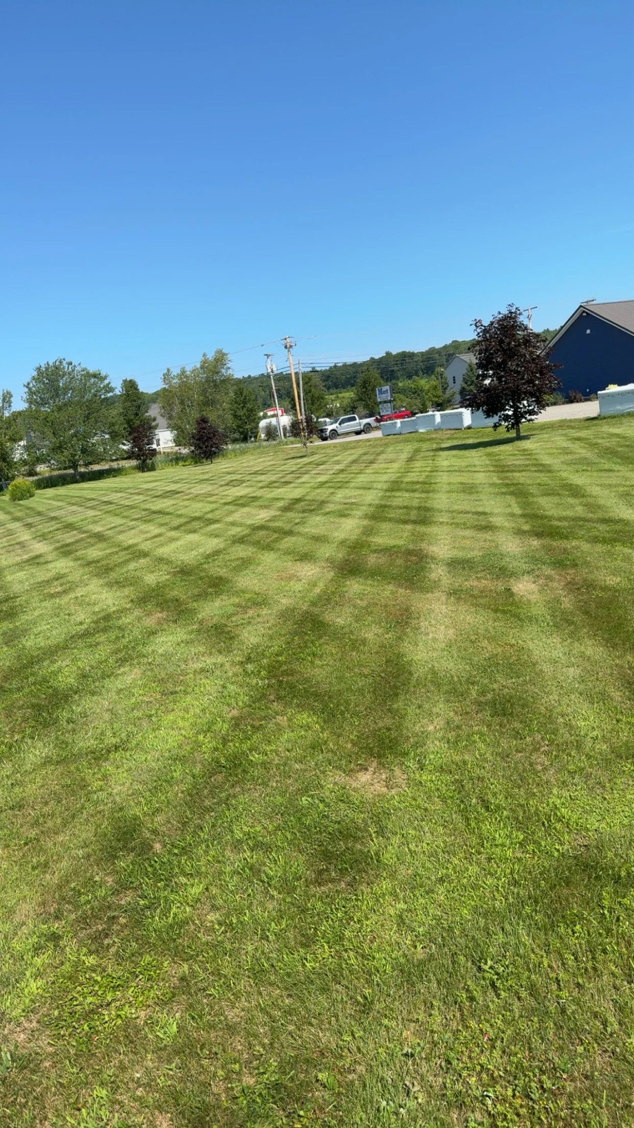 A neatly mowed grassy field with striped patterns, bordered by trees and buildings under a clear blue sky.