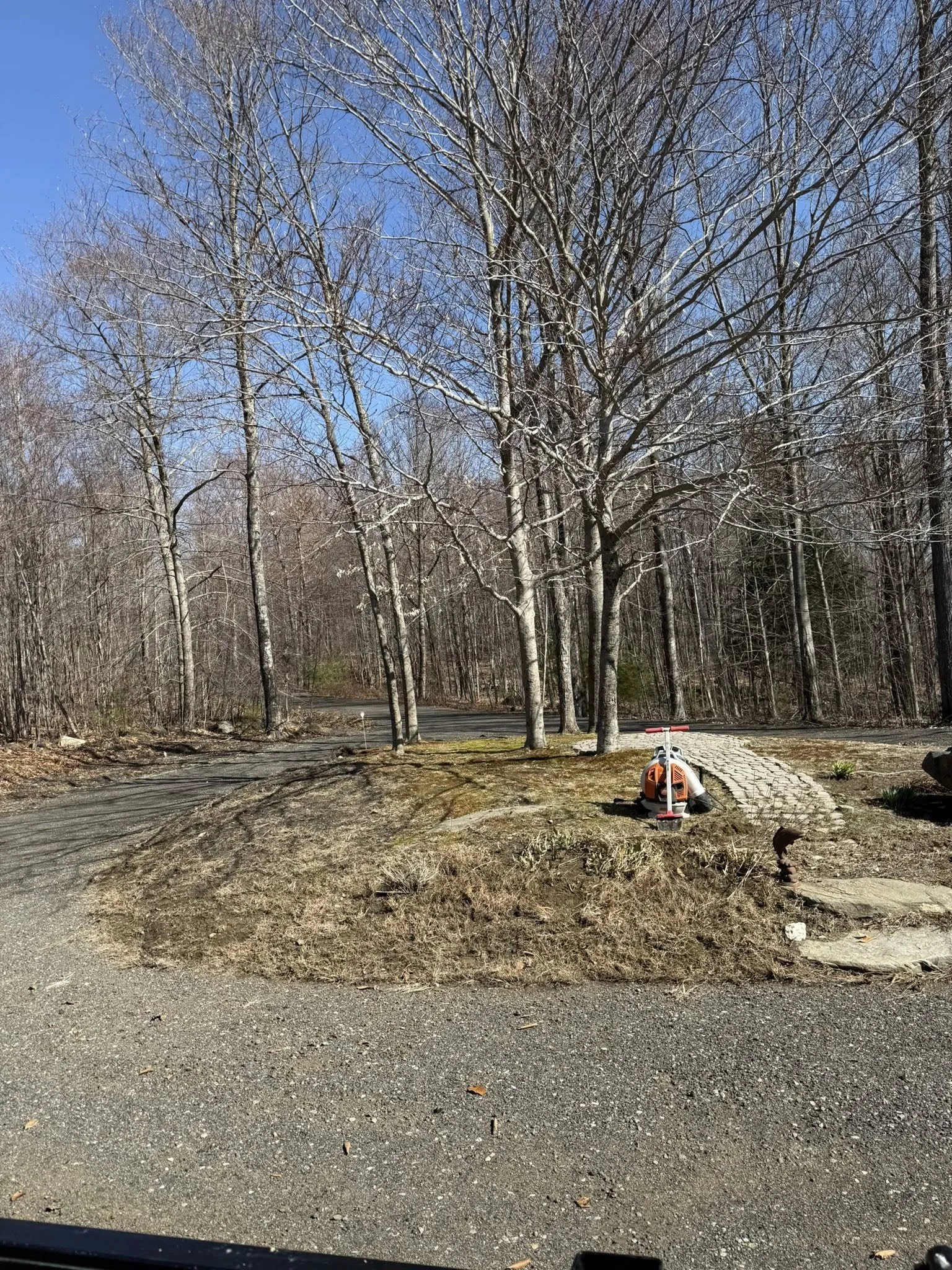 View of a wooded area with leafless trees, a paved path, and a small patch of grass with a cheerful little toy car parked on it under a clear blue sky.