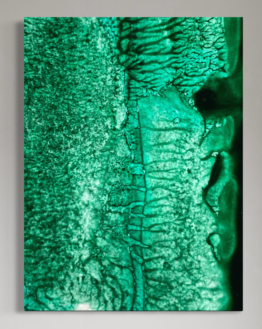 Green Tributary I