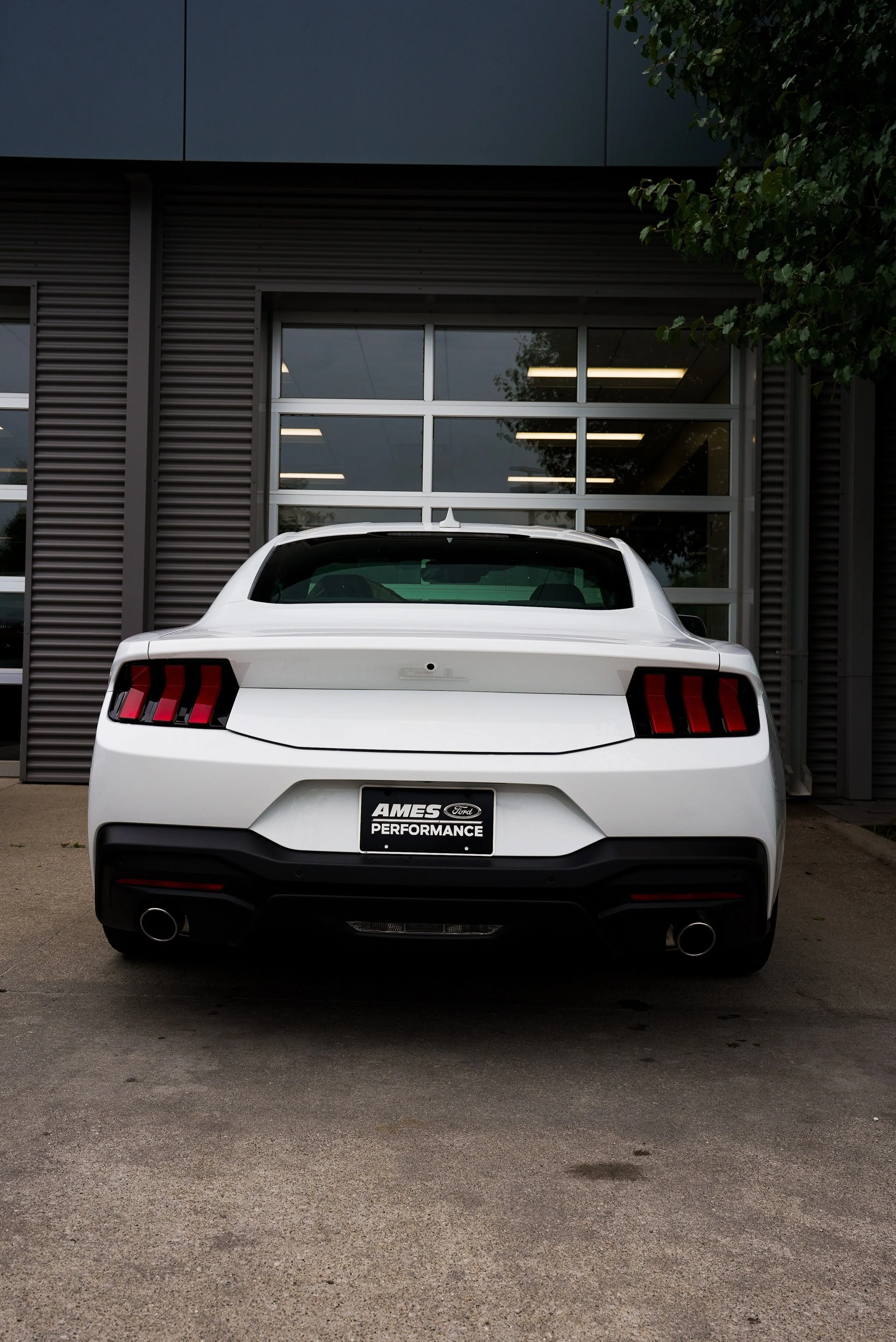 AFP - Badge Removal.jpg