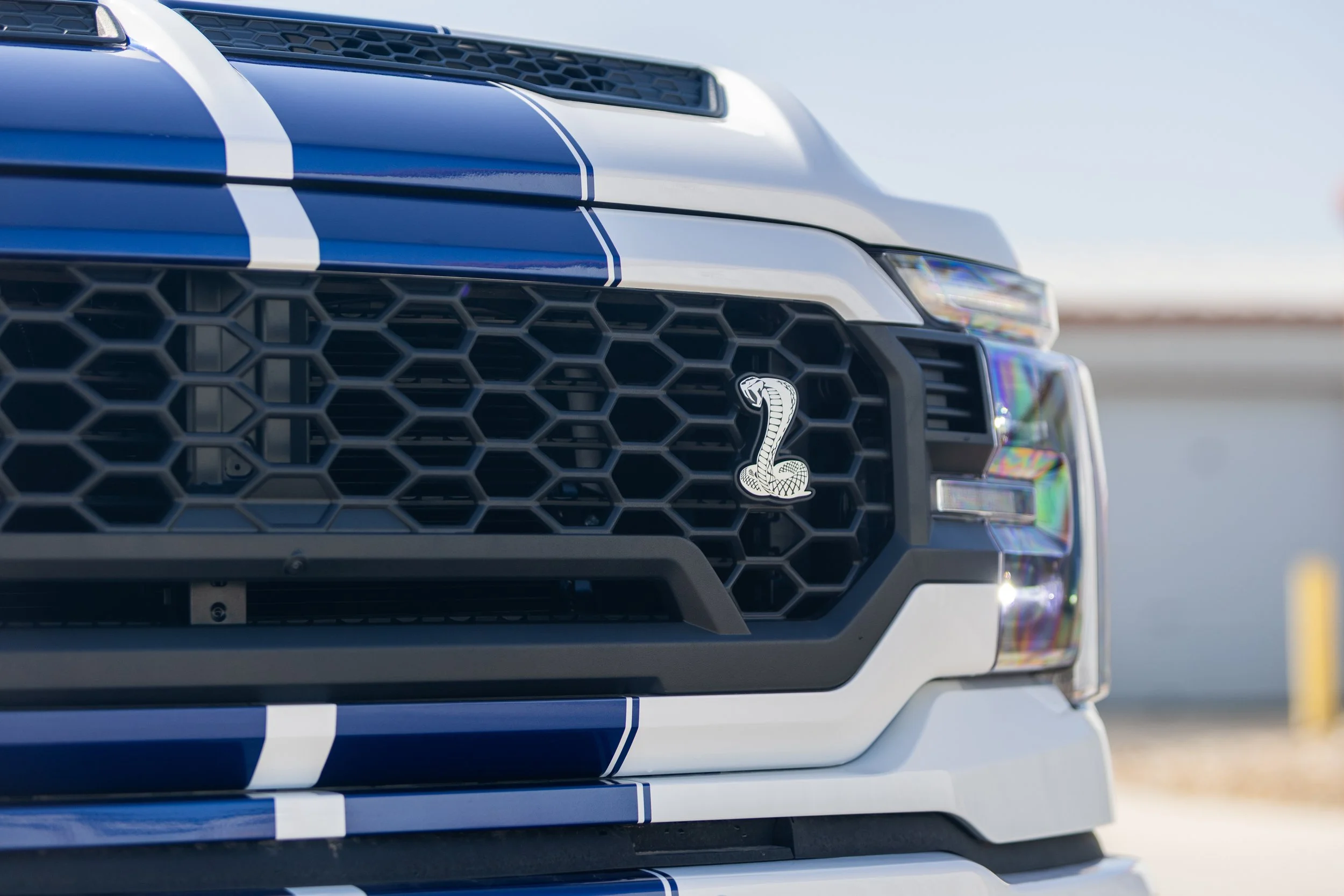 Close-up of a F-150 grille with a Ford Shelby snake emblem and blue racing stripes on the hood.