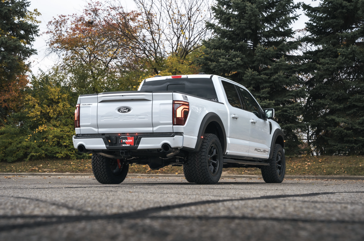 Roush F-150 Rear Wide.png