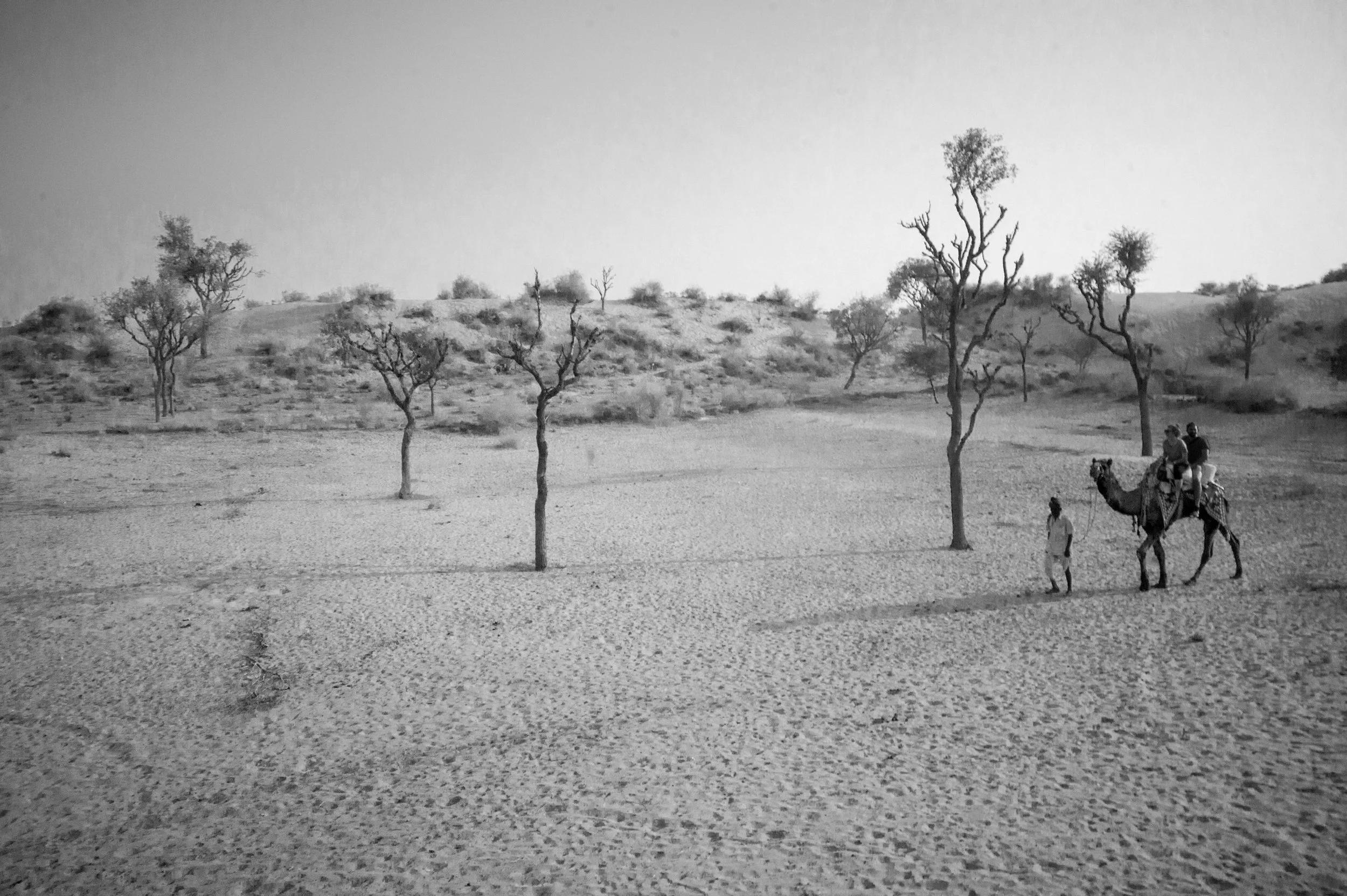 India 2014 (325).jpg