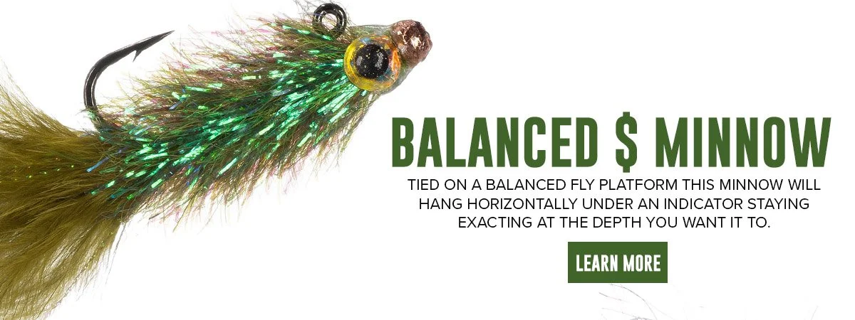 TYER EMAIL FLY TEMPLATE- Balanced $ Minnow.jpg