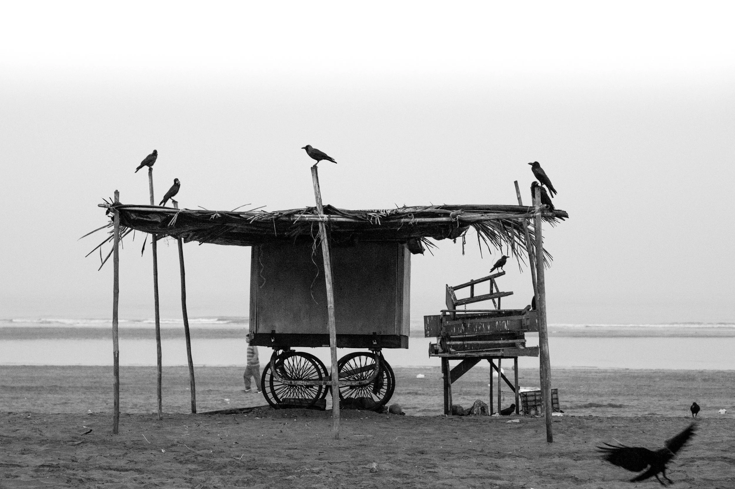 India (10 of 37).jpg