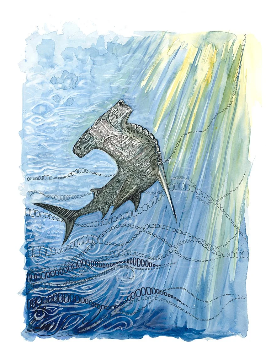 Cruising - Great Hammerhead Shark (limited edition archival giclée print)