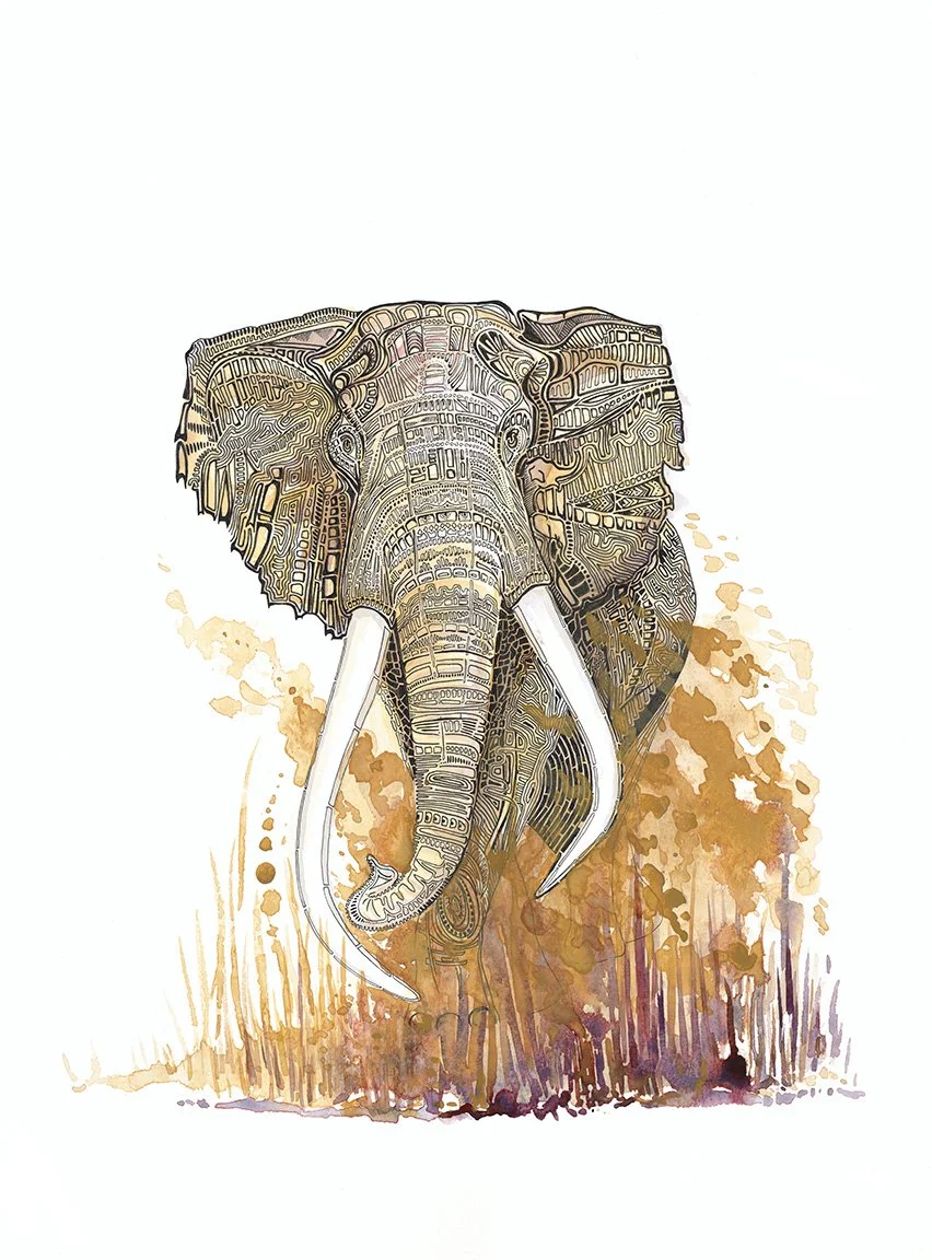 Like A Mirror - African Savannah Elephant (8x10" archival giclée print)