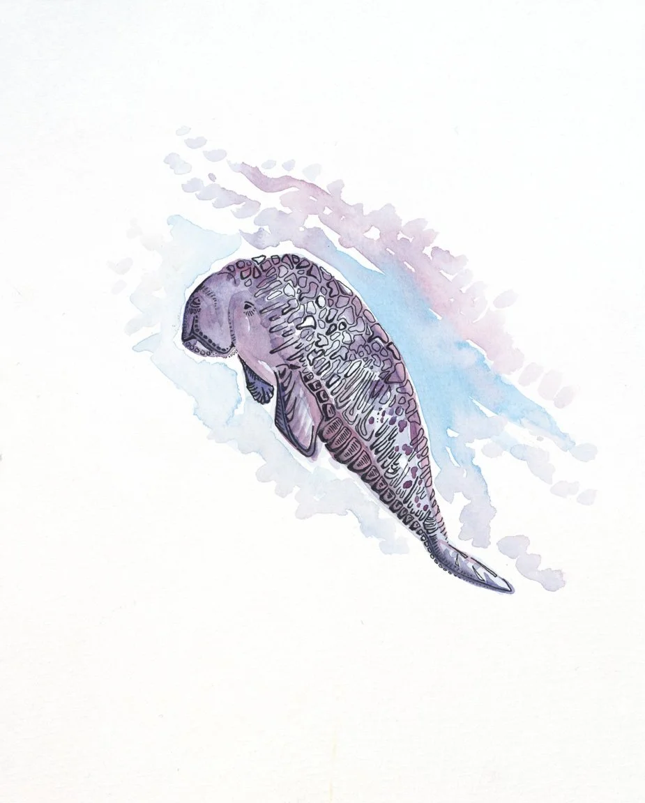 Aban - Dugong (original watercolor painting)