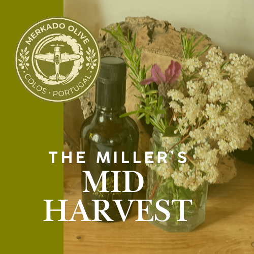 Bottle of olive oil and a vase of white and pink flowers on a wooden surface with a rock in the background, and a logo for Merkado Olive, Portugal, in the top left corner.