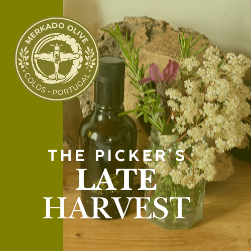 A bottle of olive oil placed next to a bouquet of wildflowers and herbs in a glass jar, with a large piece of rock in the background and a seal reading "Merkado Olive, Colos Portugal."