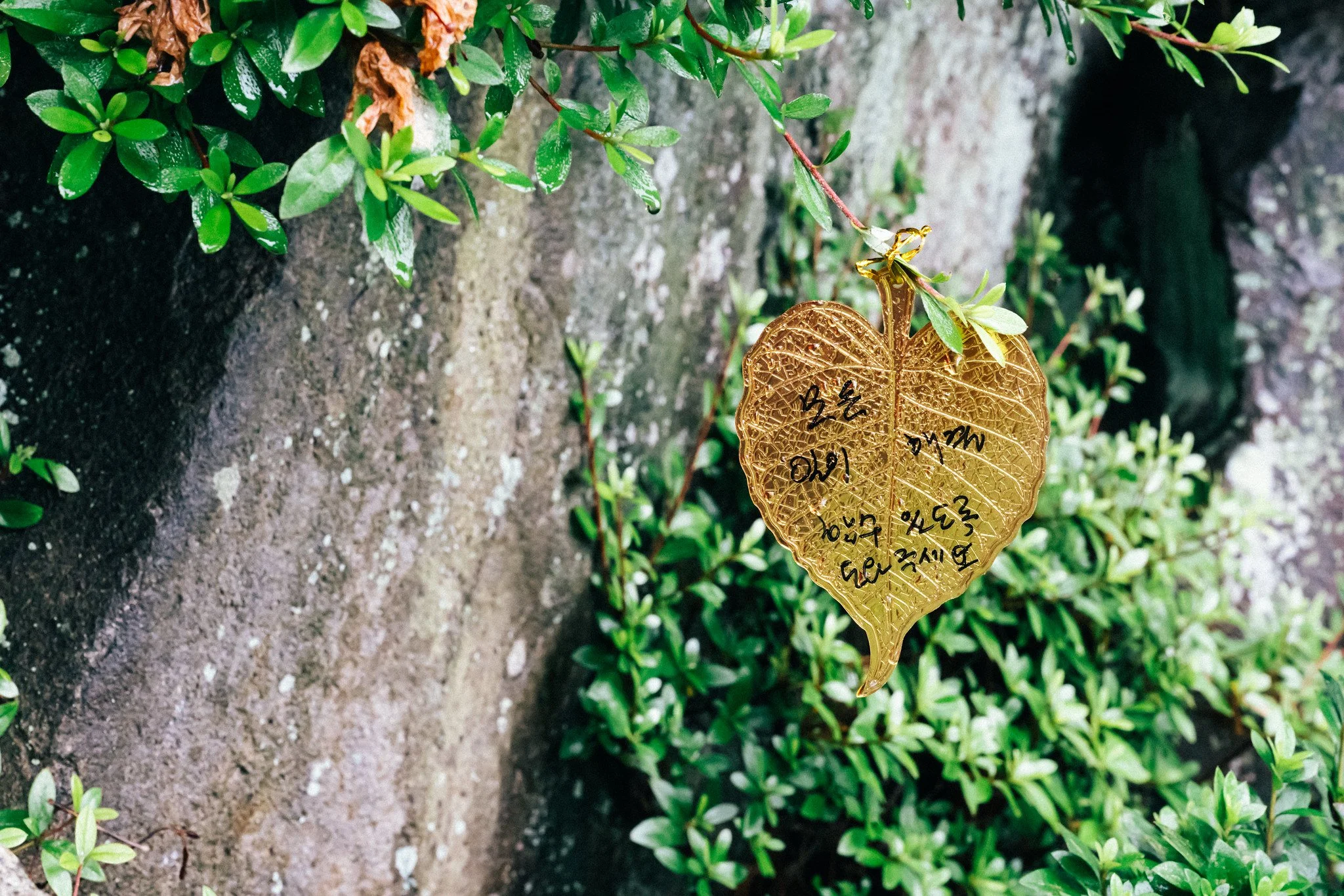 "Please help everything to go well"